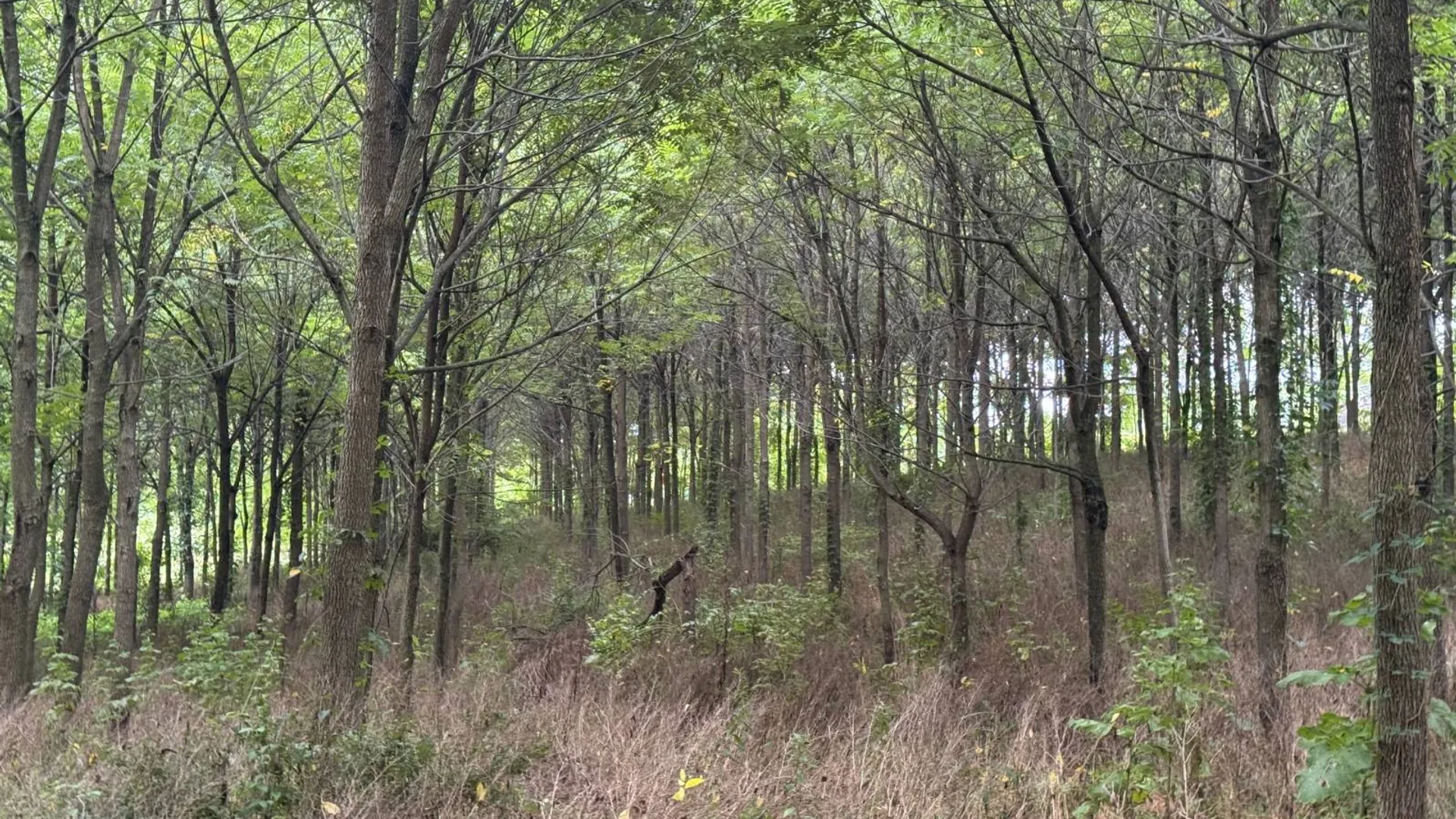 Property at 00 County Rd 14, Earlville, NY 13332 26