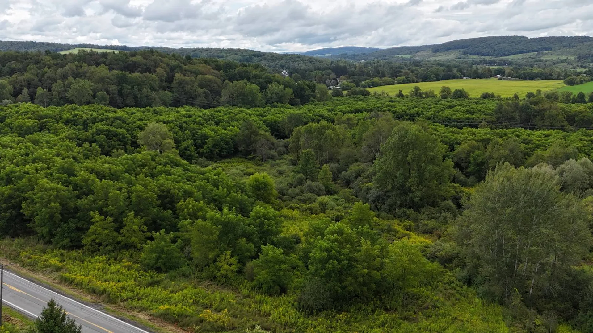 Property at 00 County Rd 14, Earlville, NY 13332 3