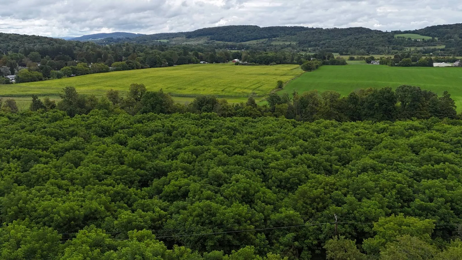 Property at 00 County Rd 14, Earlville, NY 13332 8