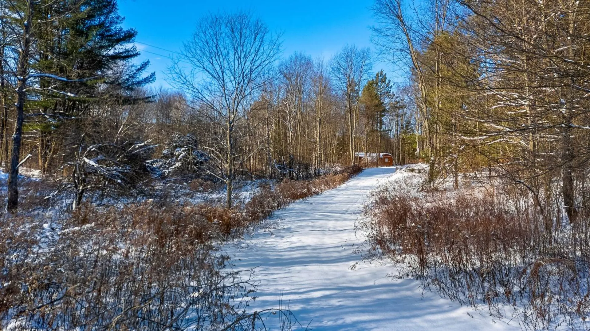 Property at L1 County Rd 16, Otselic, NY 13815 13