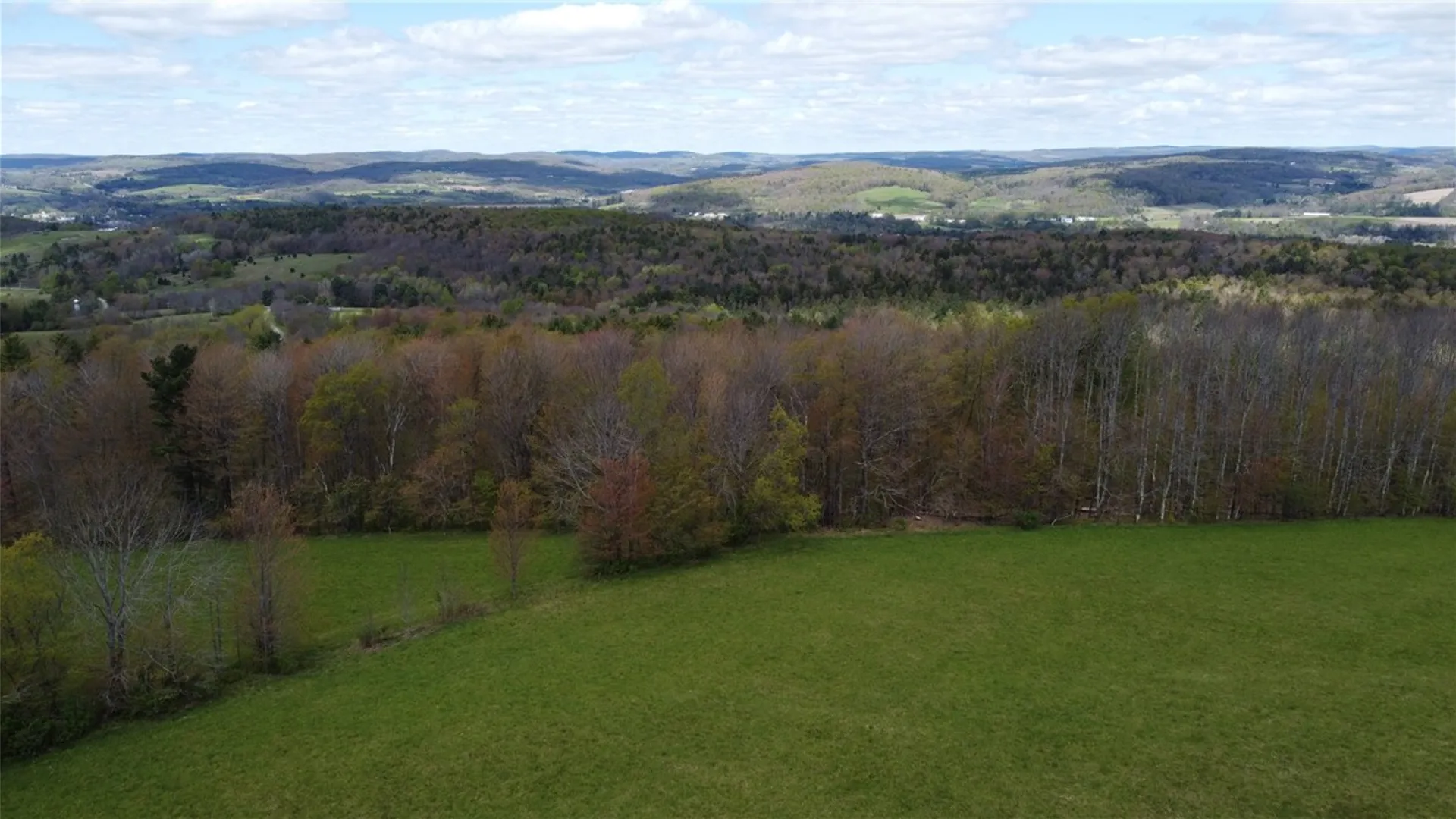 Property at 137 Poverty Lane, Pittsfield, NY 13411 43