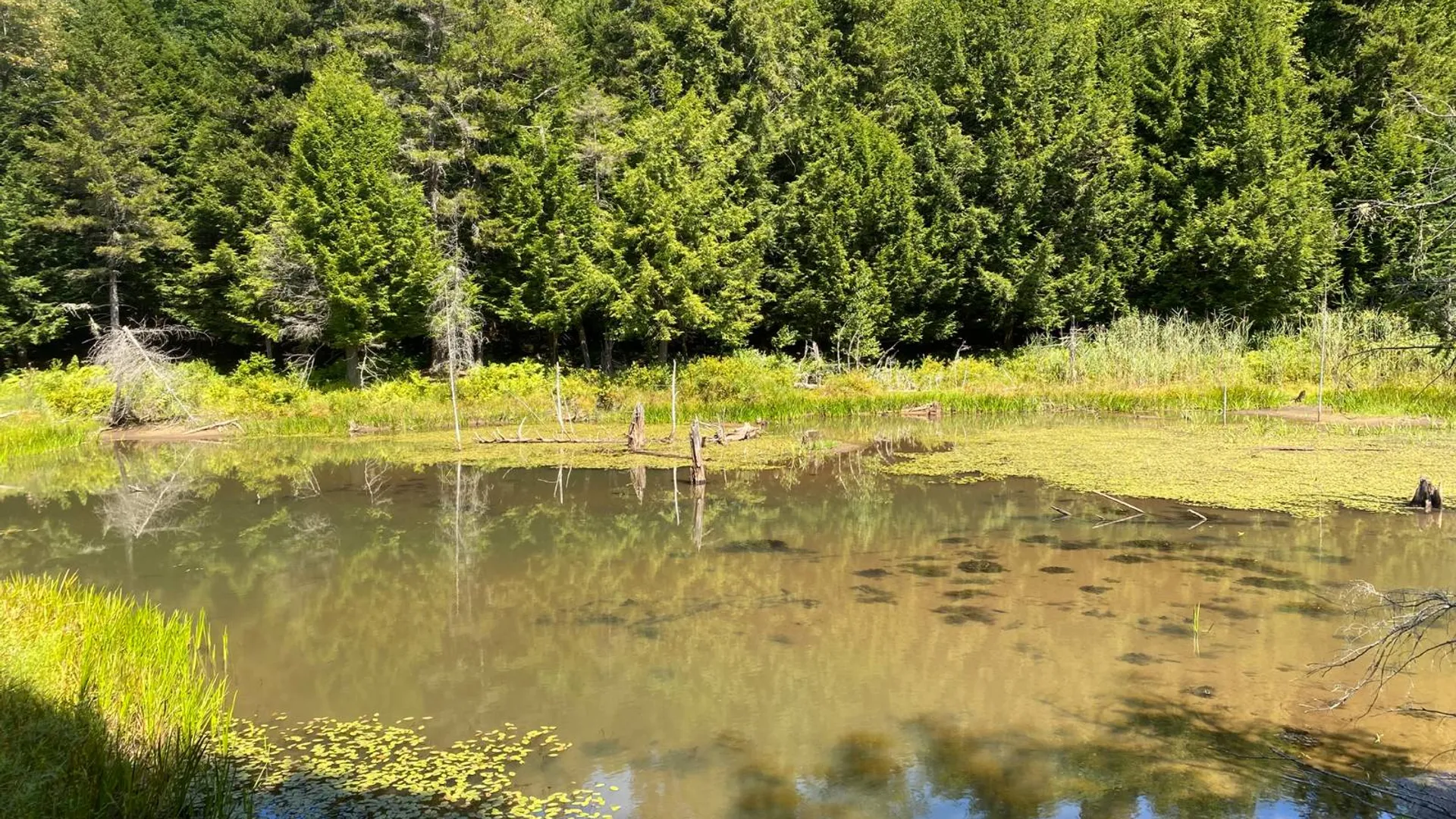 Property at 590 CR 17, Russell, NY 13684 15