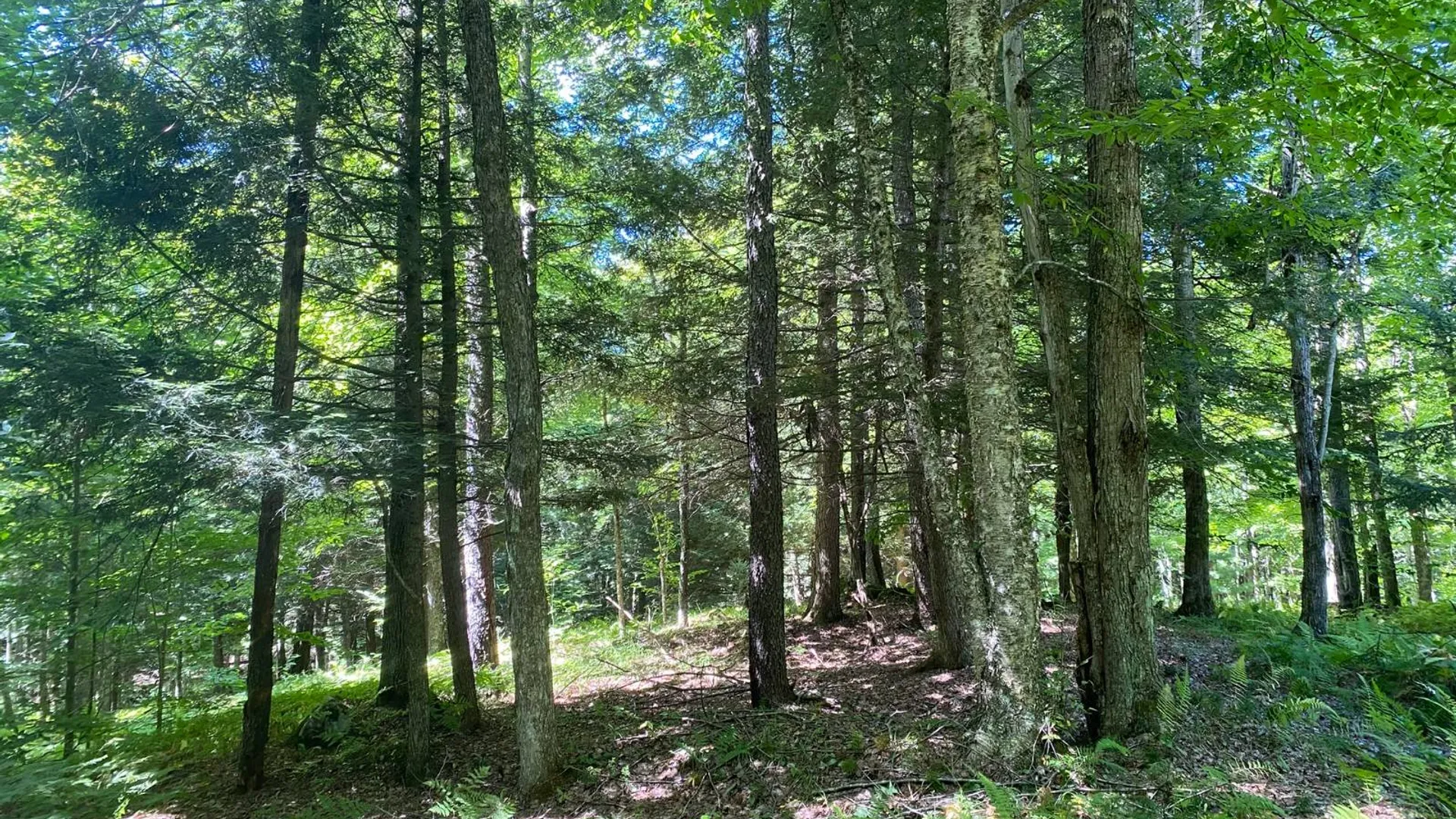 Property at 590 CR 17, Russell, NY 13684 21