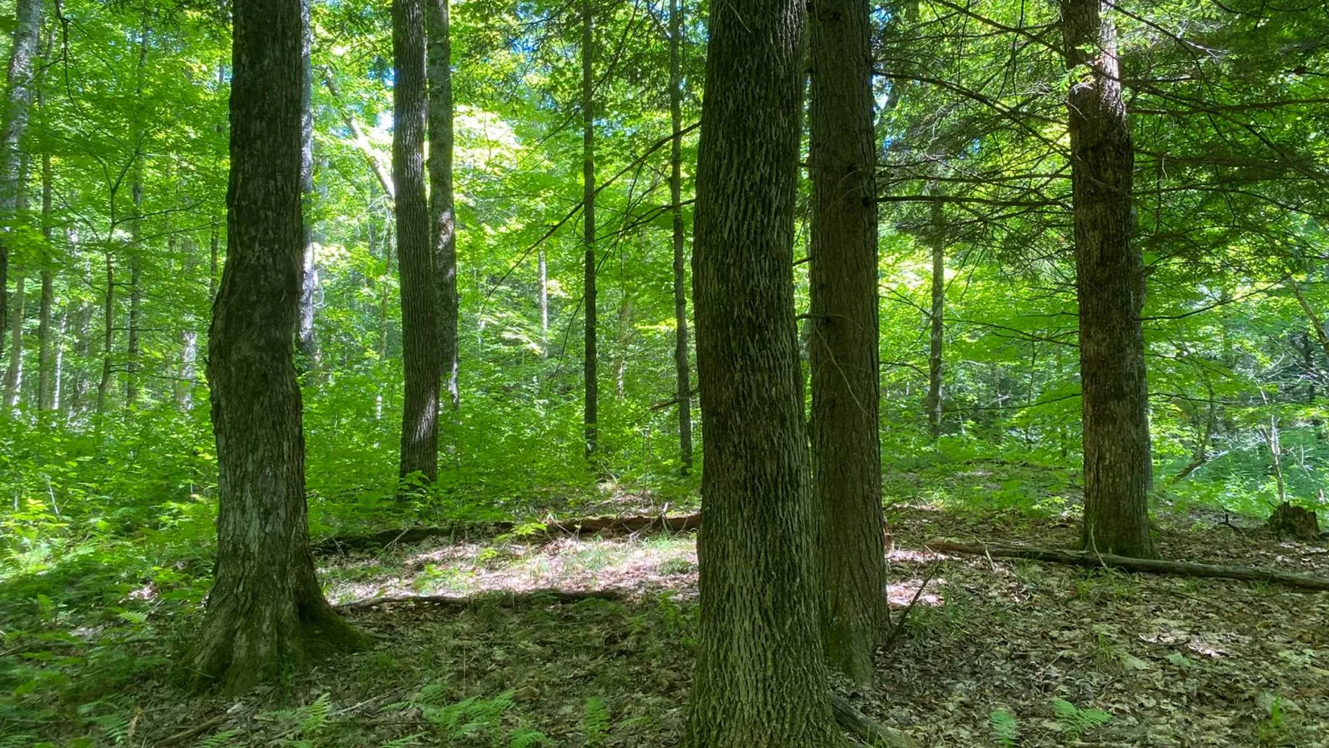 Property at 590 CR 17, Russell, NY 13684 24