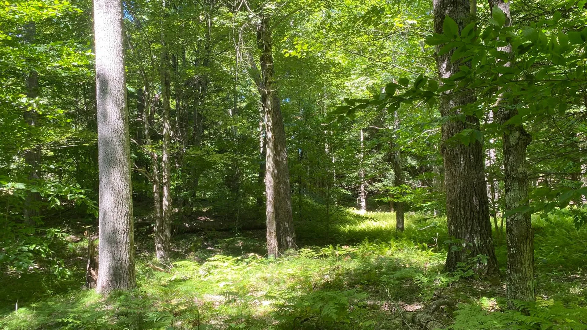 Property at 590 CR 17, Russell, NY 13684 25