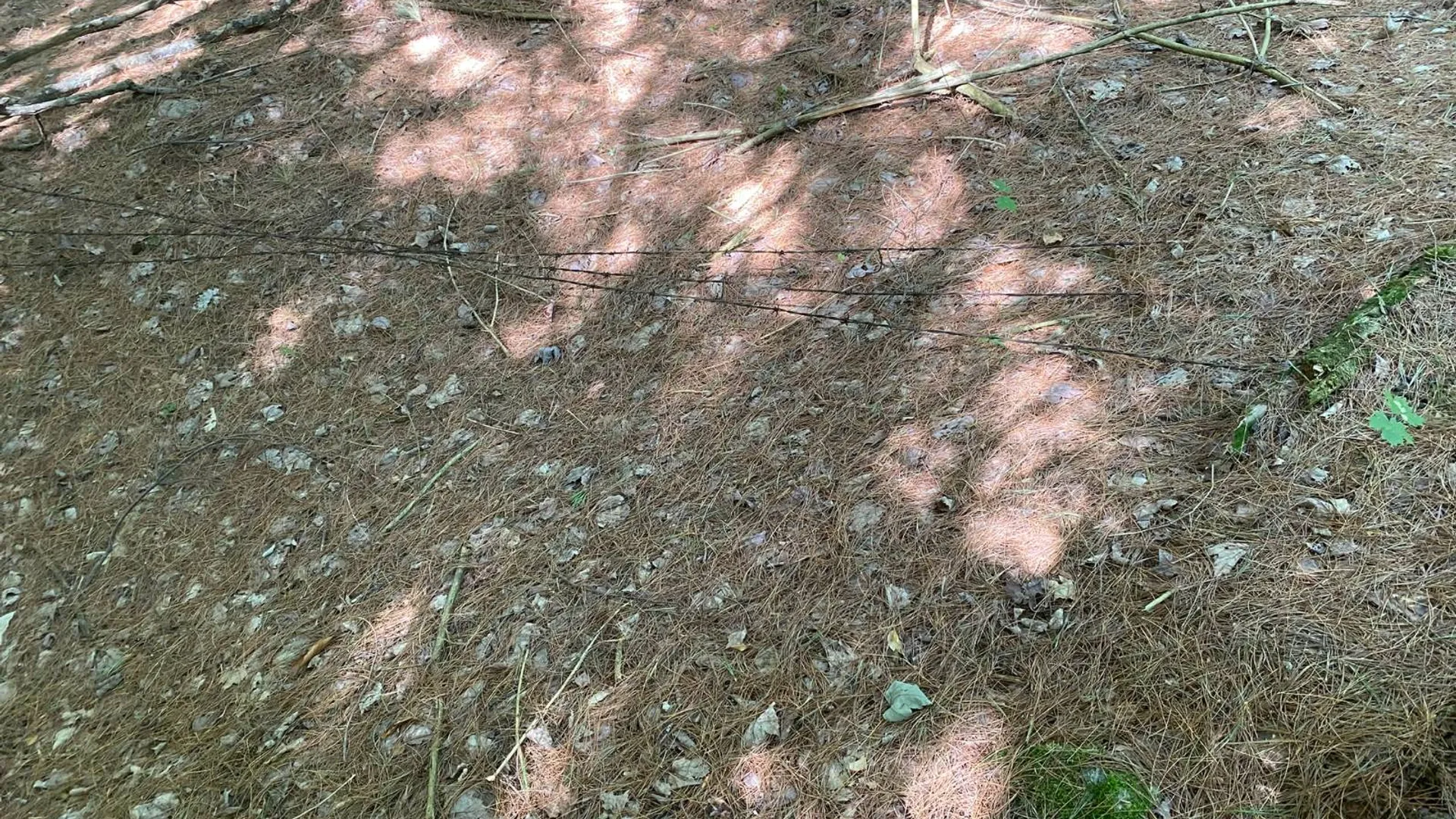 Property at 590 CR 17, Russell, NY 13684 27