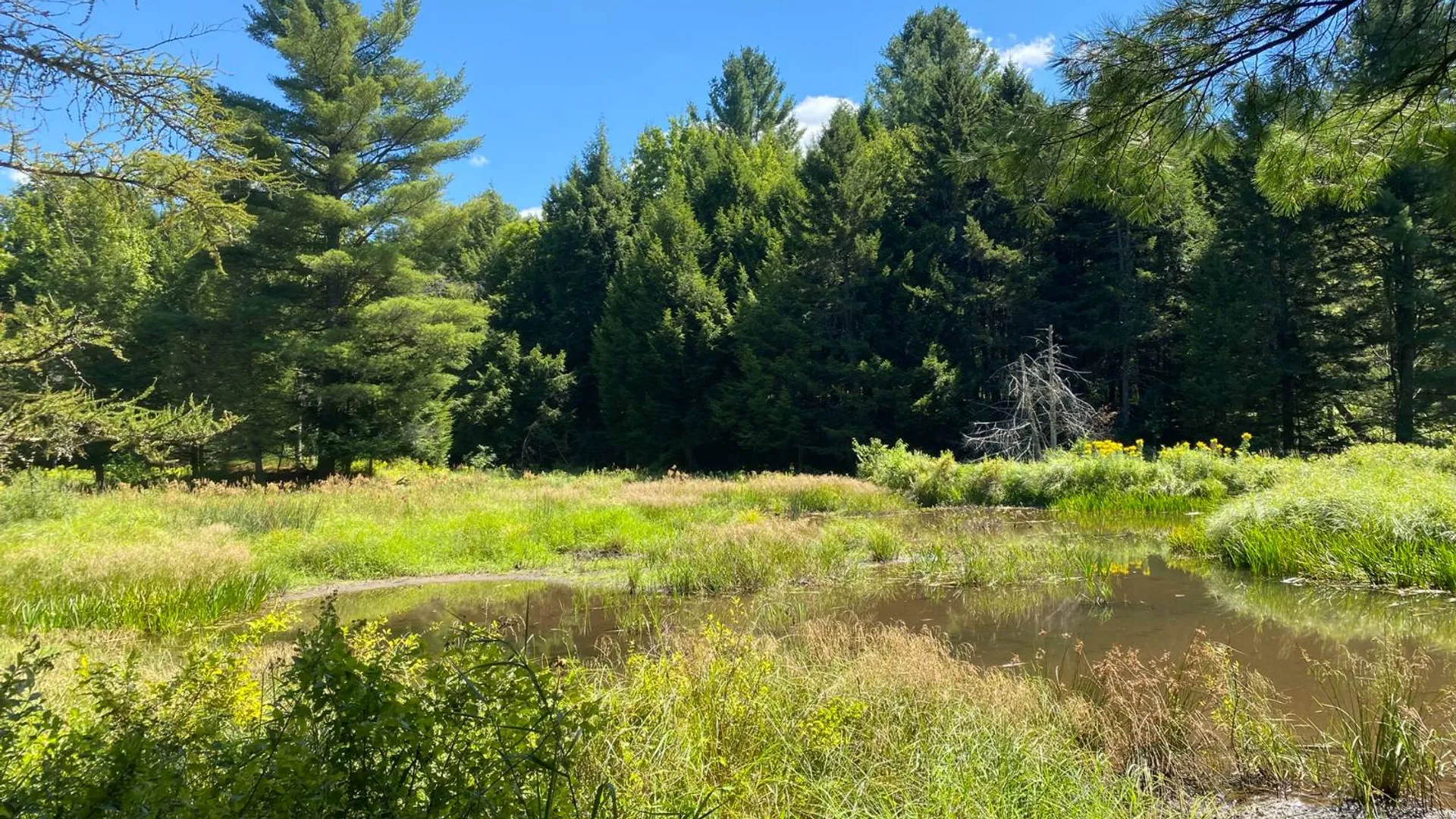 Property at 590 CR 17, Russell, NY 13684 30