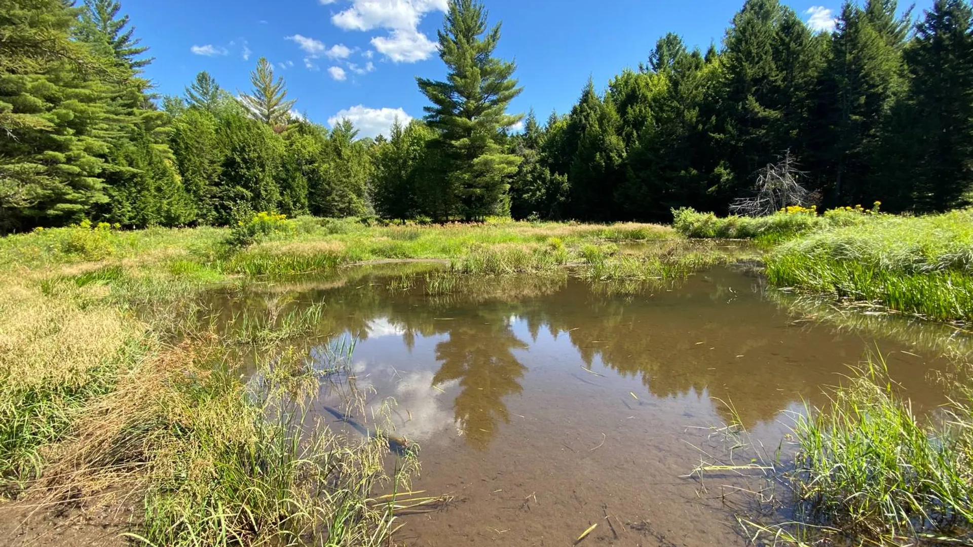 Property at 590 CR 17, Russell, NY 13684 33