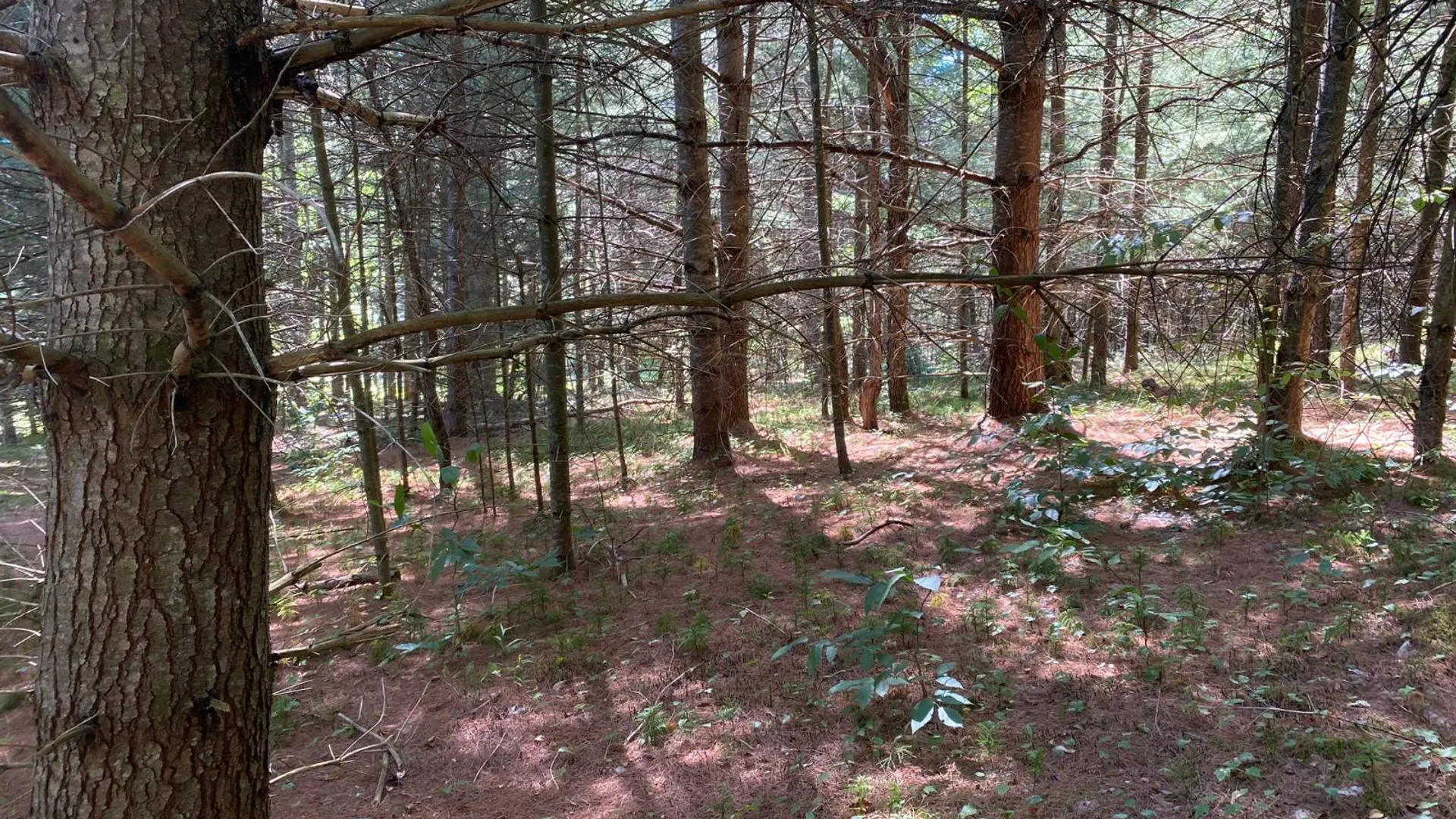 Property at 590 CR 17, Russell, NY 13684 34