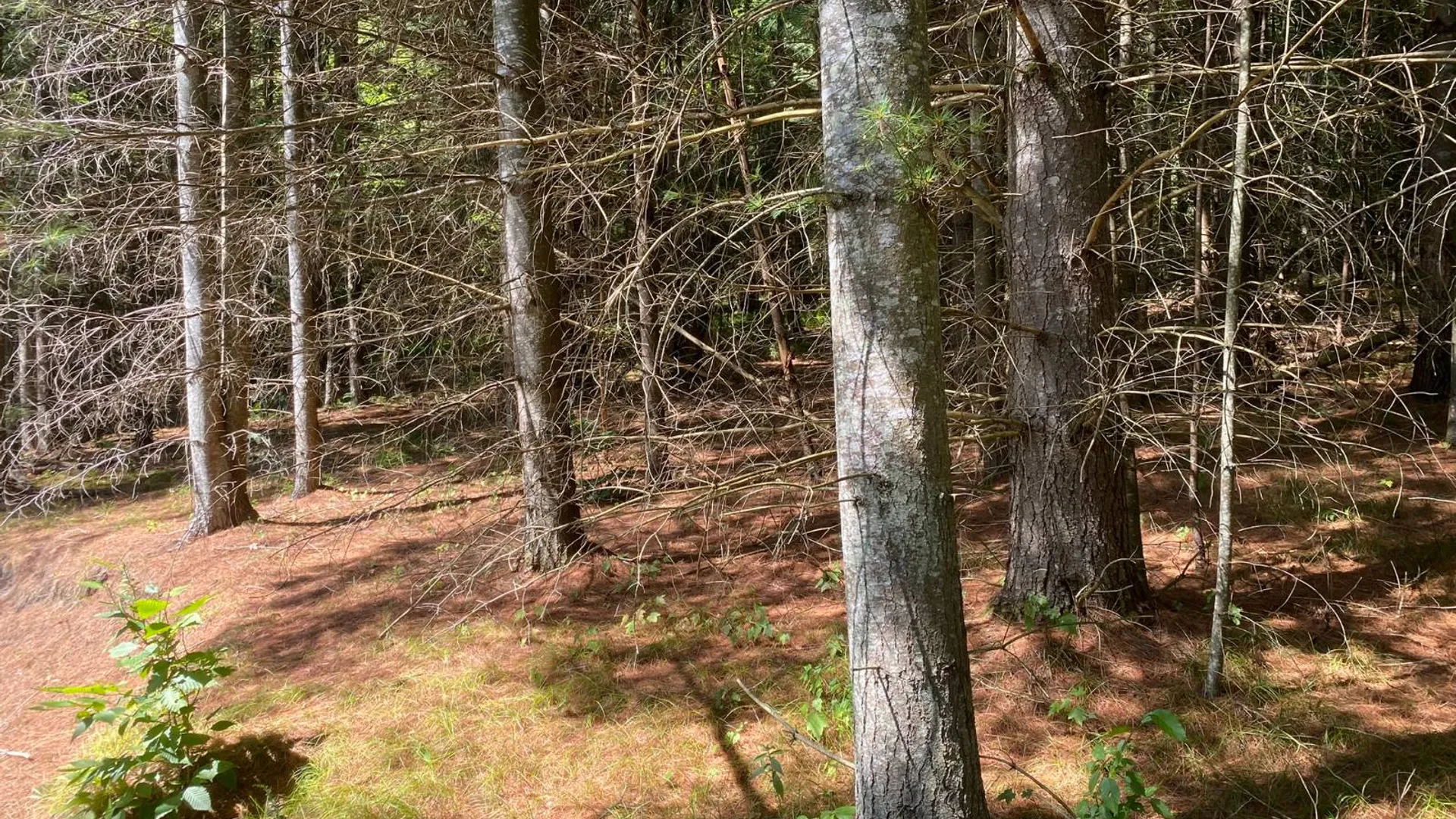 Property at 590 CR 17, Russell, NY 13684 36