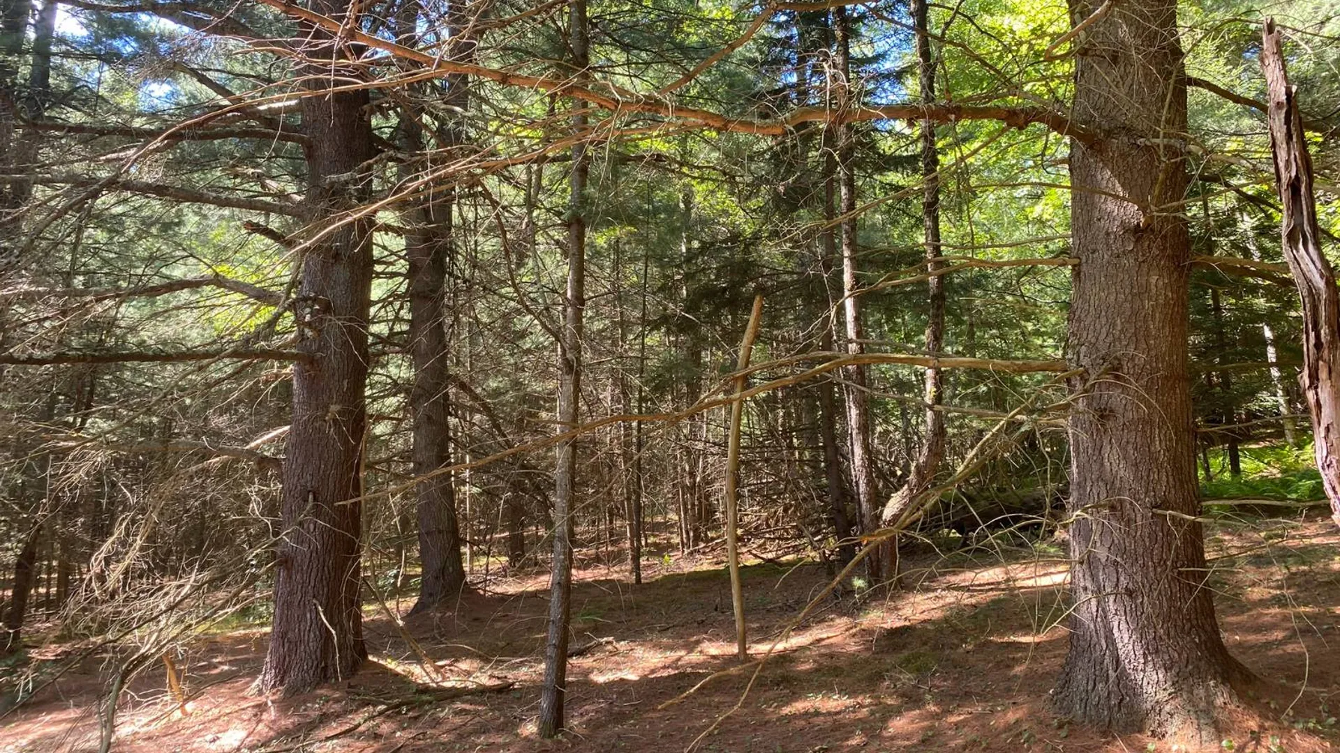 Property at 590 CR 17, Russell, NY 13684 38
