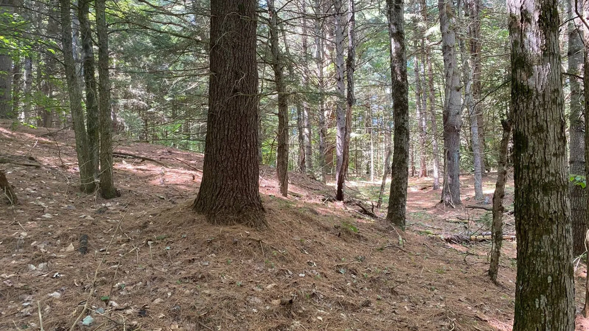 Property at 590 CR 17, Russell, NY 13684 41