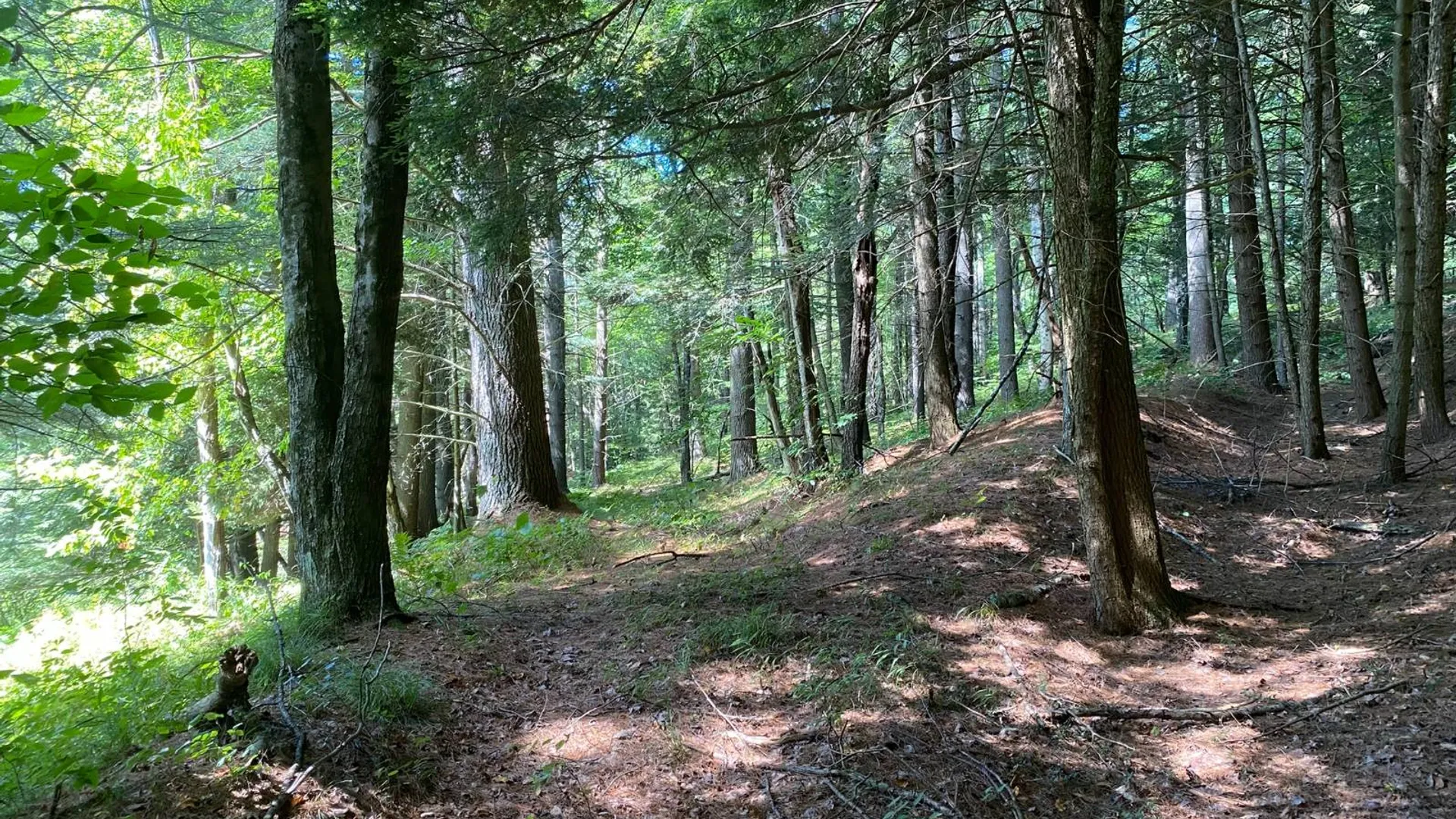 Property at 590 CR 17, Russell, NY 13684 47