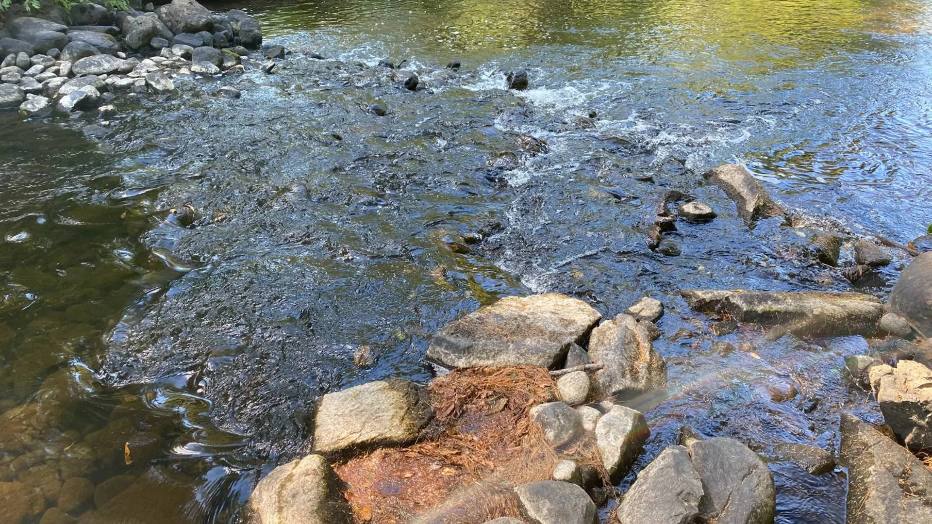 Property at 590 CR 17, Russell, NY 13684 50