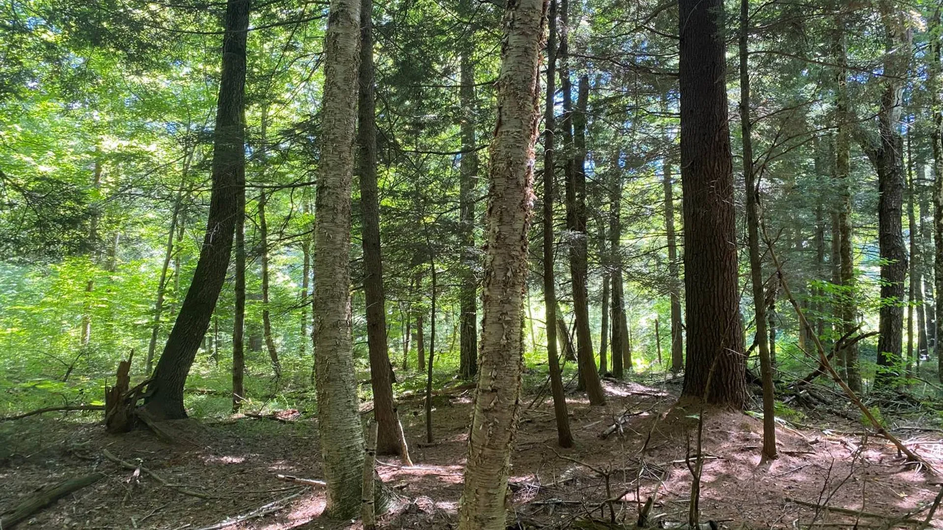 Property at 590 CR 17, Russell, NY 13684 51