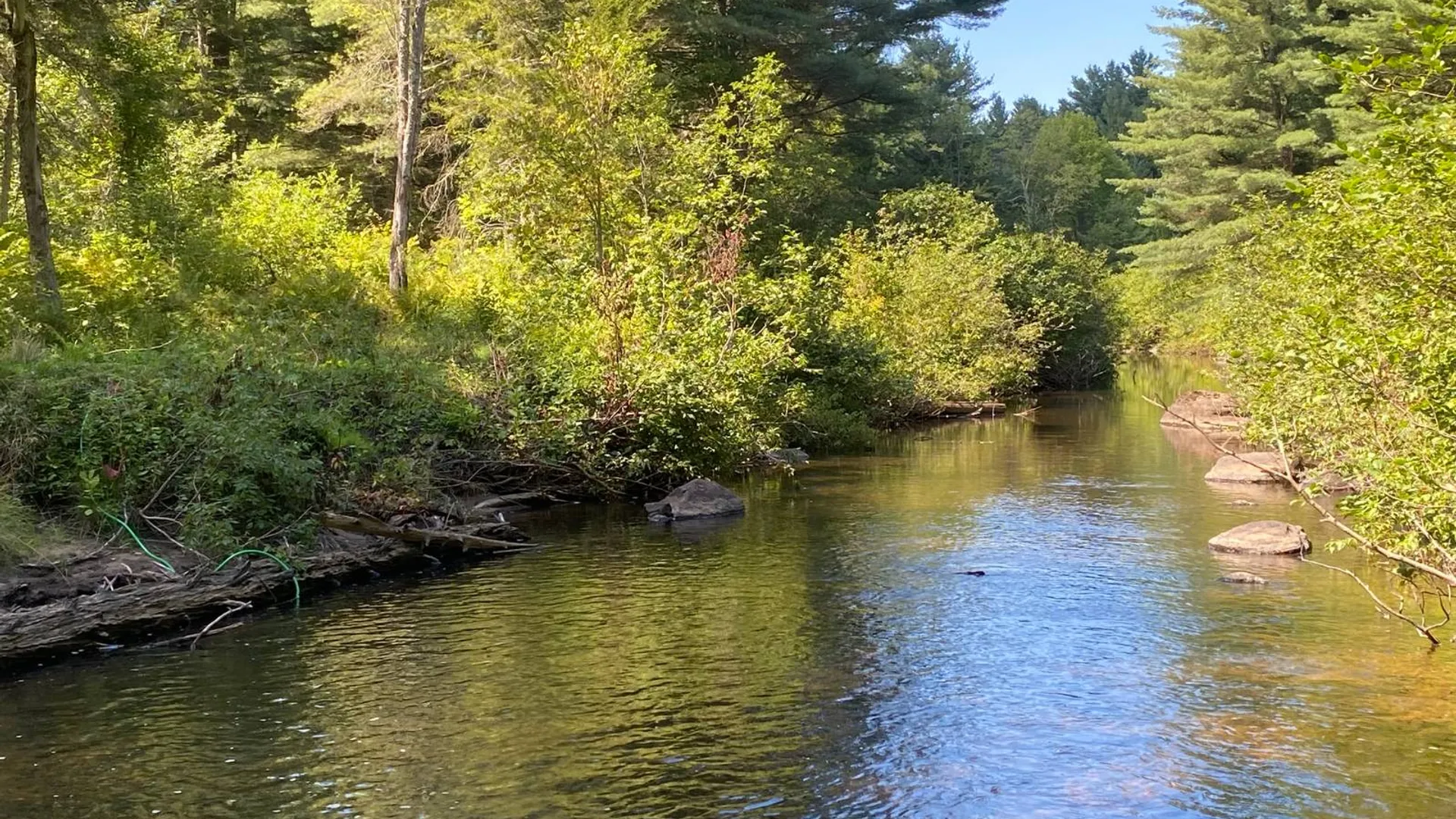 Property at 590 CR 17, Russell, NY 13684 52