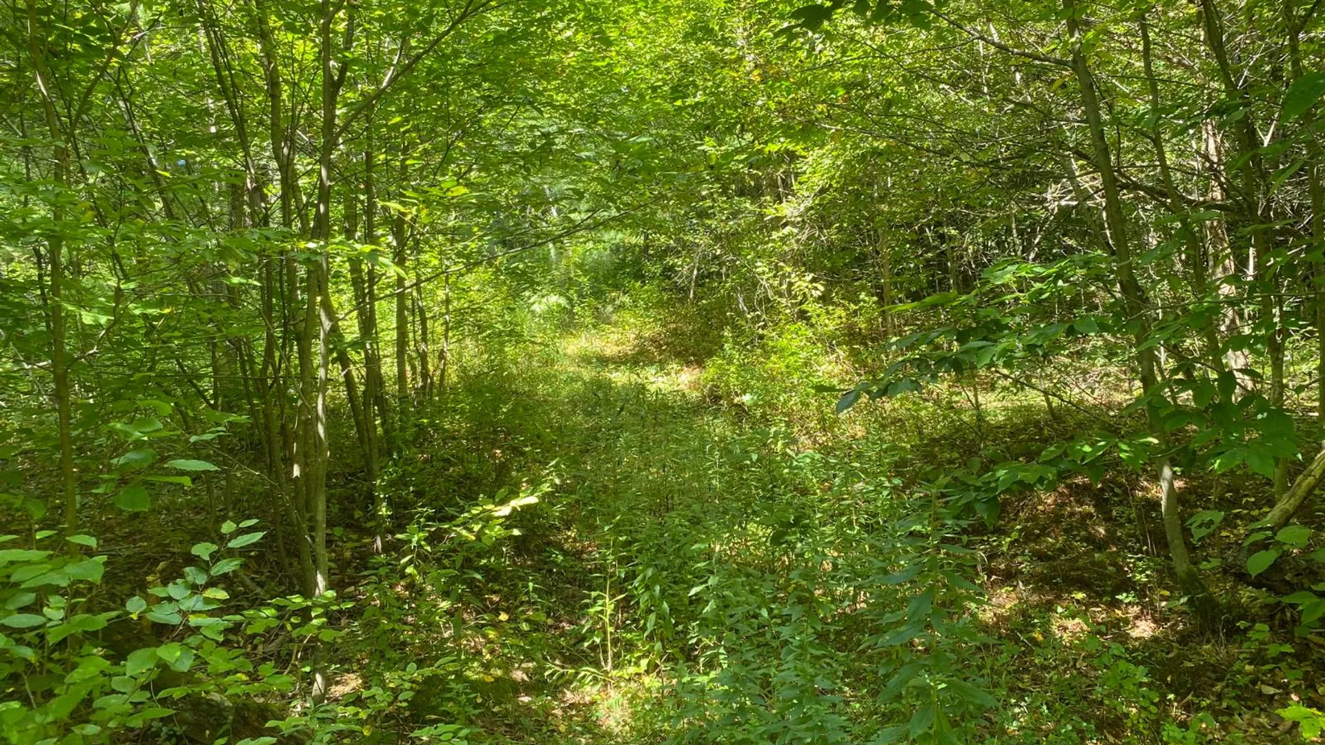 Property at 590 CR 17, Russell, NY 13684 6