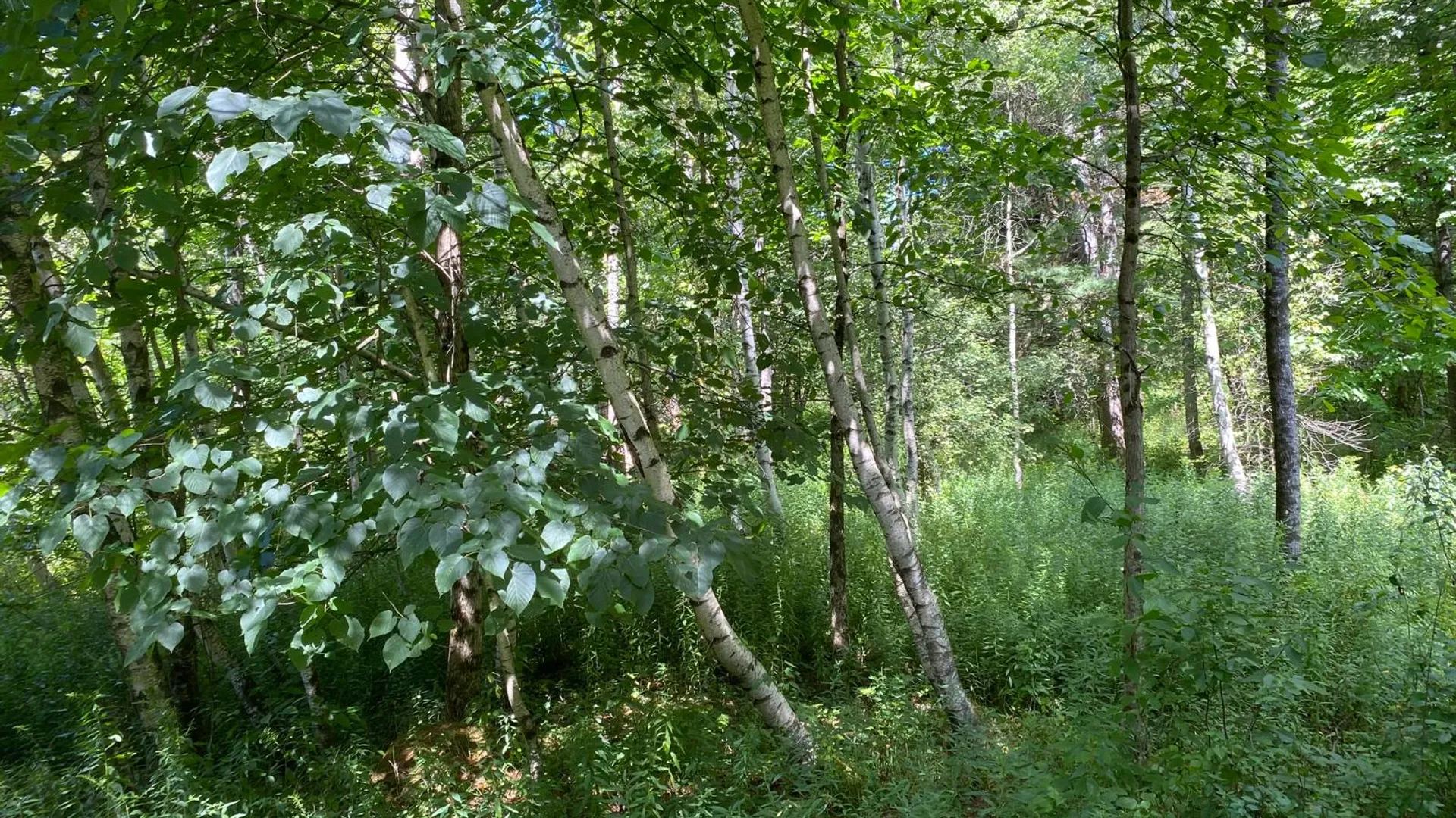 Property at 590 CR 17, Russell, NY 13684 7