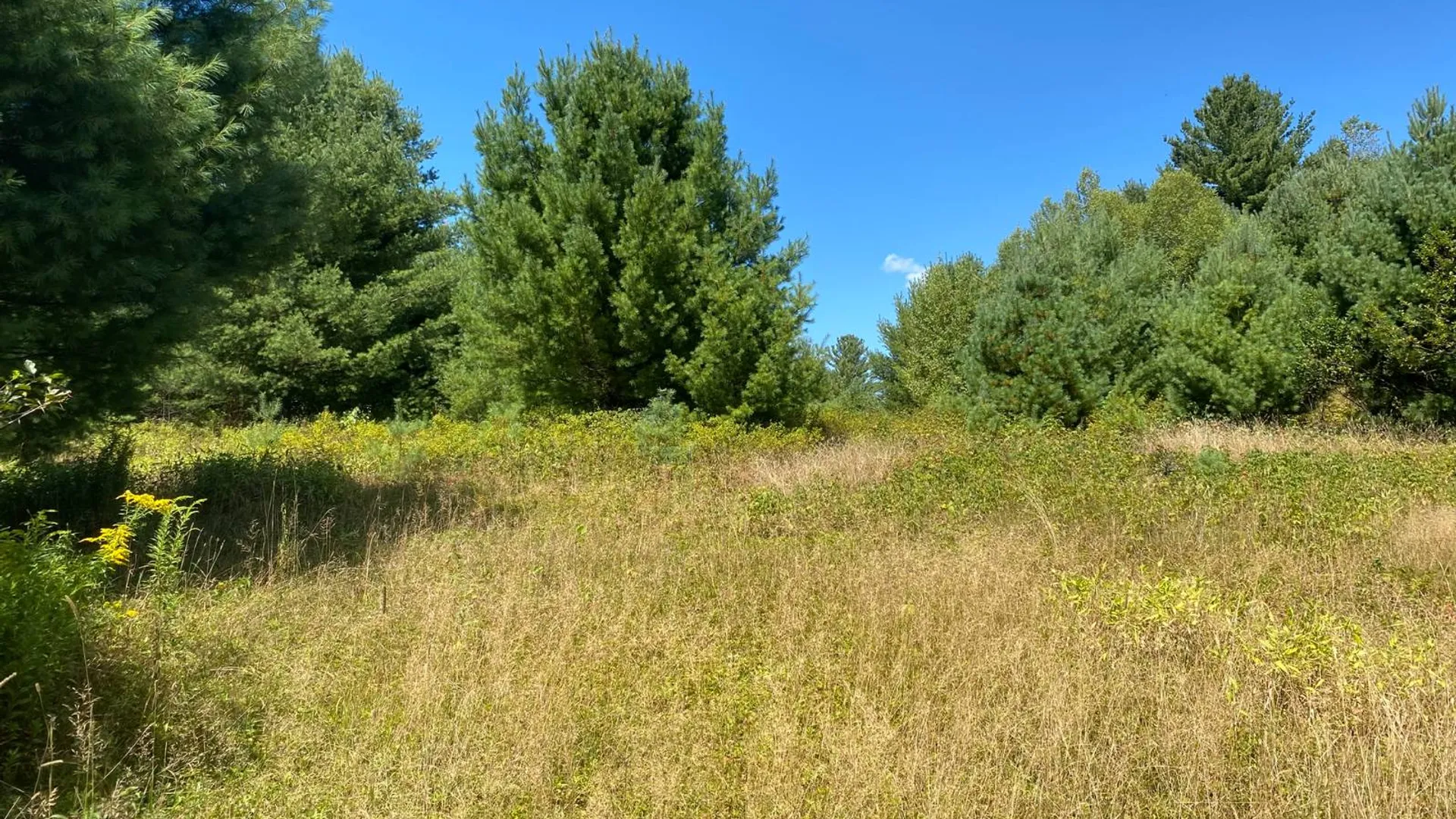 Property at 590 CR 17, Russell, NY 13684 8