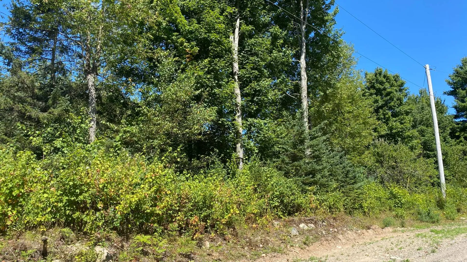 Property at 590 CR 17, Russell, NY 13684 82