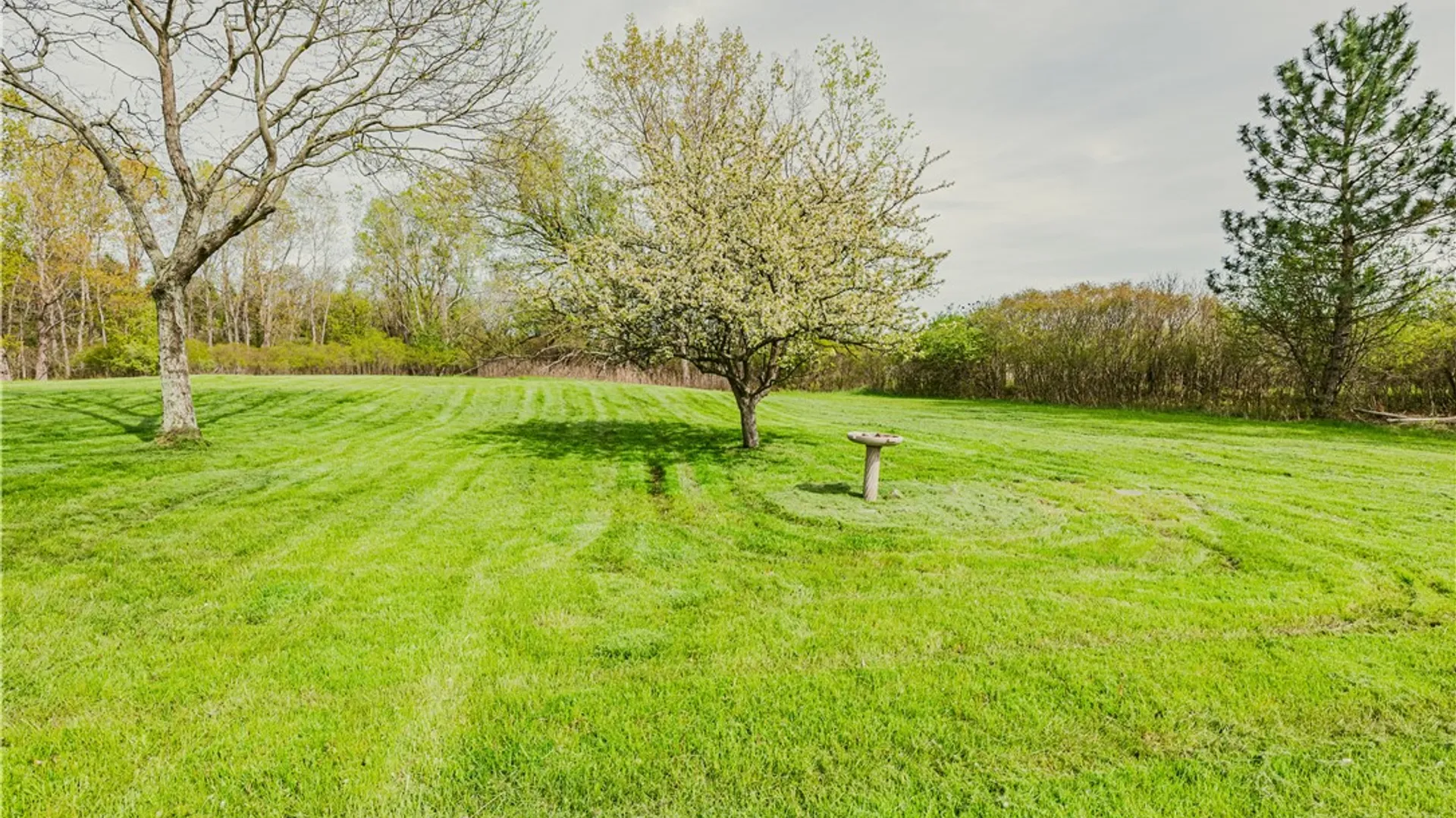 Property at 1256 Pittsford Mendon Road, Mendon, NY 14506 30