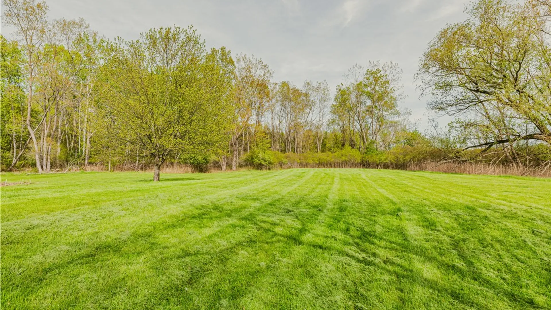 Property at 1256 Pittsford Mendon Road, Mendon, NY 14506 31