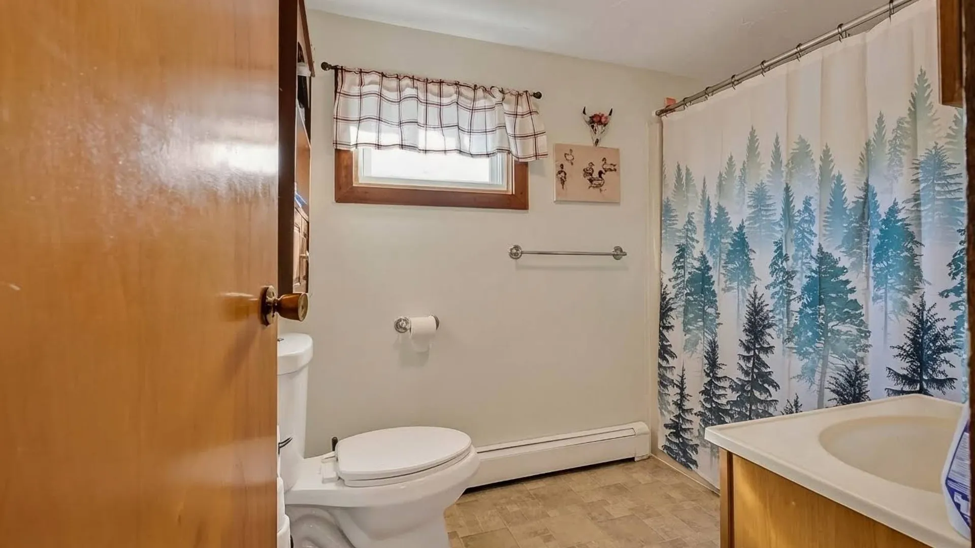 Property at 124 Prospect St, Schoharie, NY 12157 32