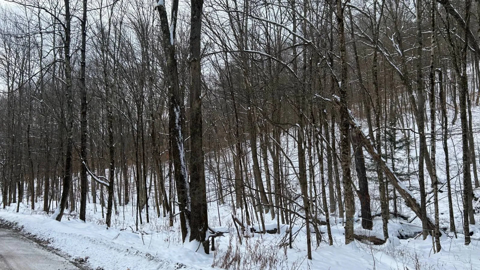 Property at 00 Dietsche Road, Cherry Valley, NY 13320 10