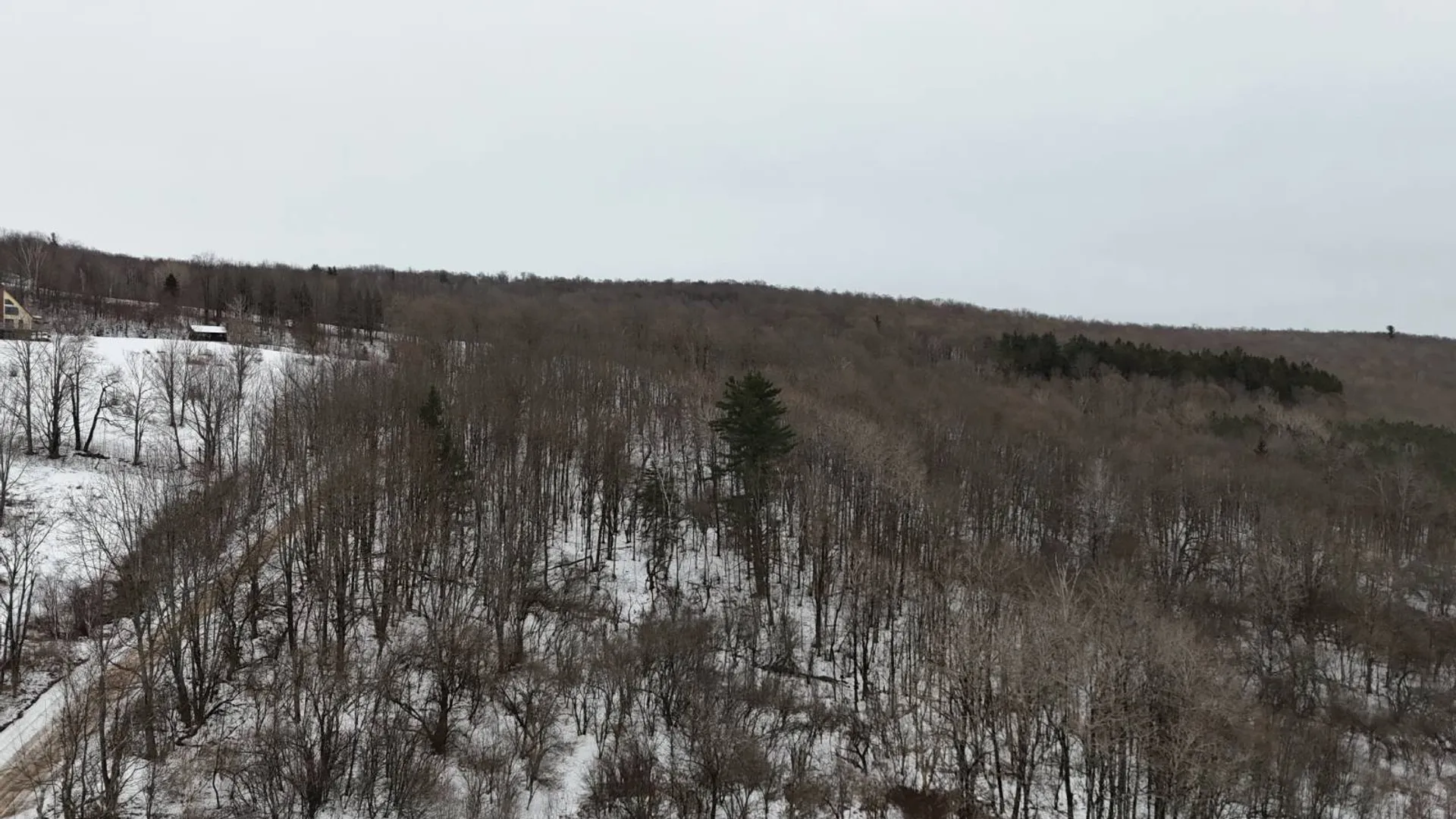 Property at 00 Dietsche Road, Cherry Valley, NY 13320 15