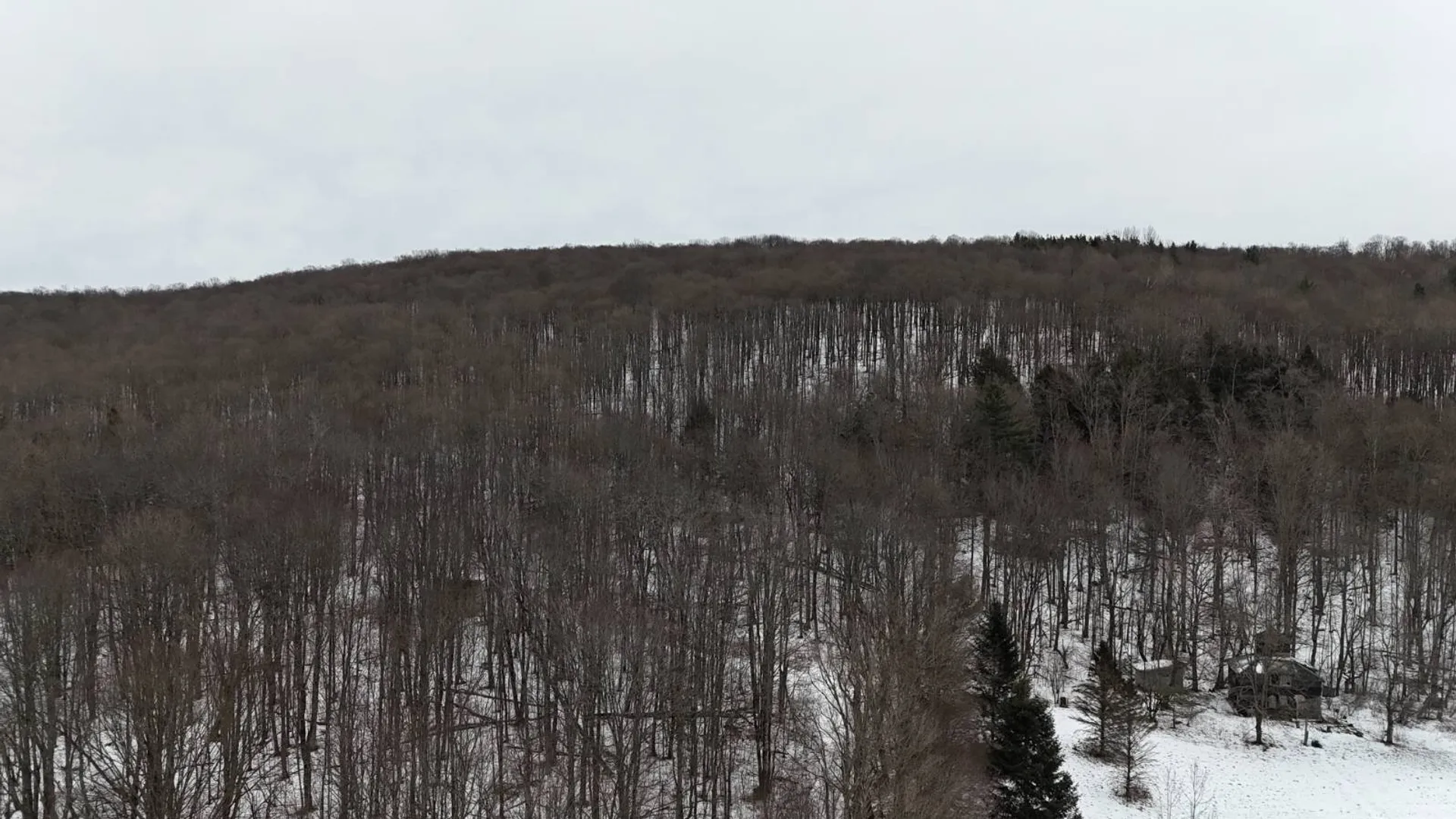 Property at 00 Dietsche Road, Cherry Valley, NY 13320 18