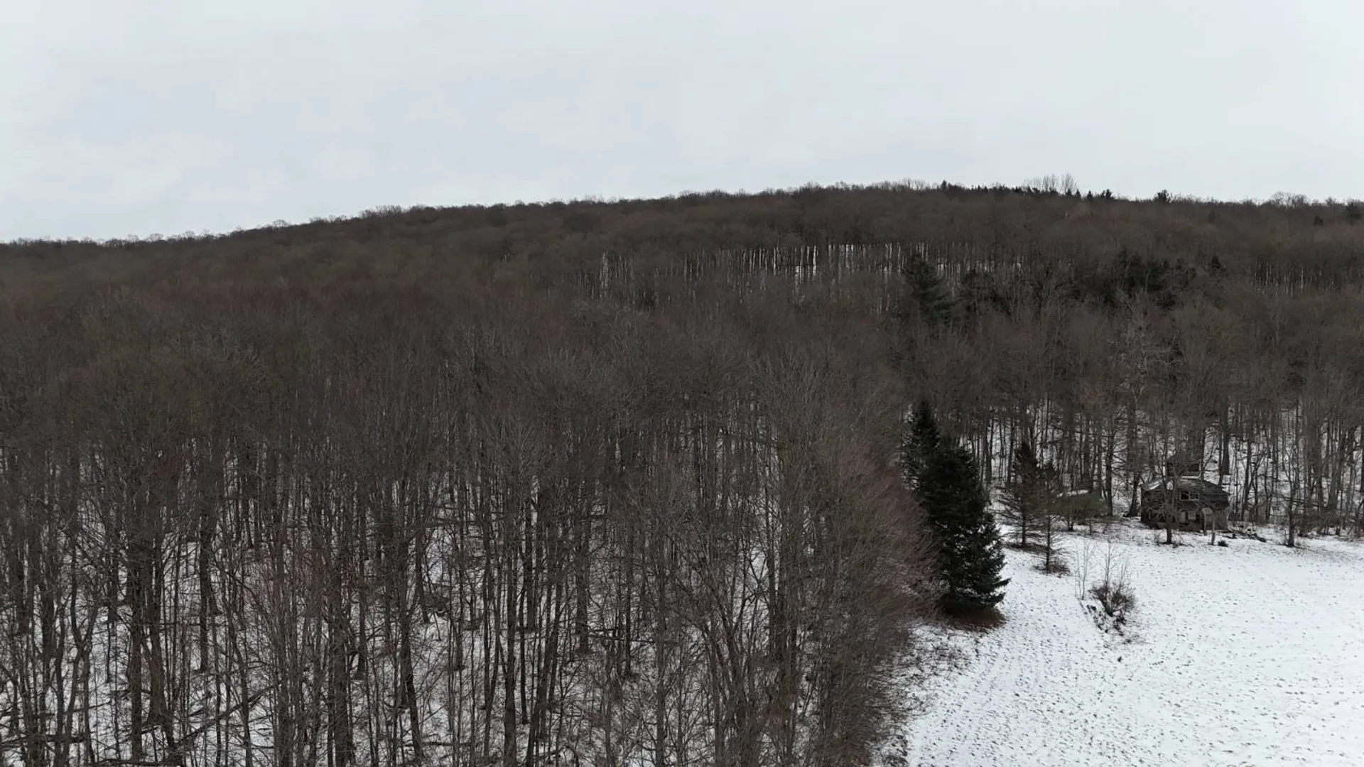 Property at 00 Dietsche Road, Cherry Valley, NY 13320 19