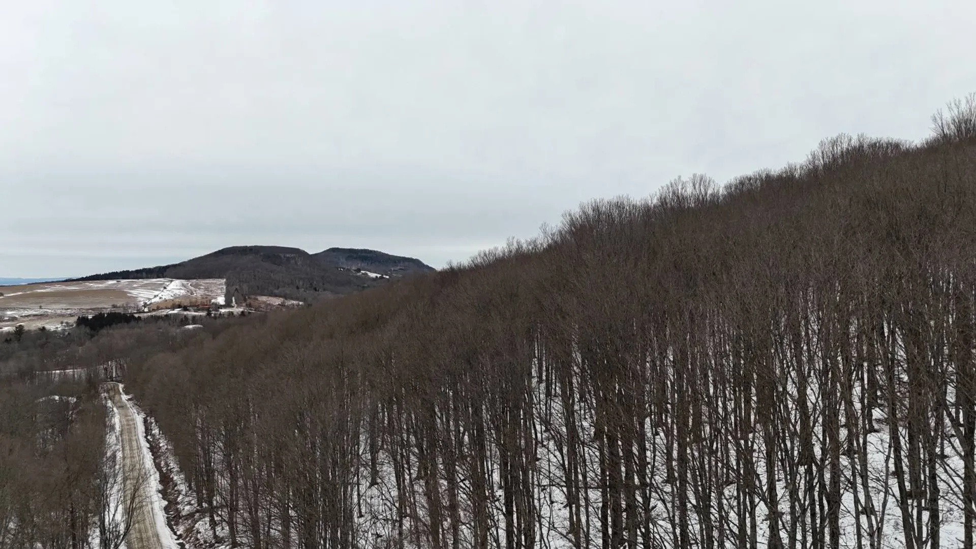 Property at 00 Dietsche Road, Cherry Valley, NY 13320 20