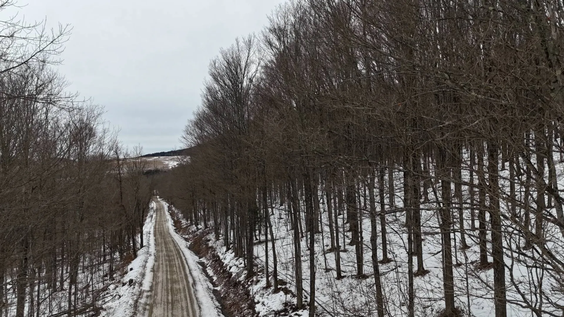 Property at 00 Dietsche Road, Cherry Valley, NY 13320 21