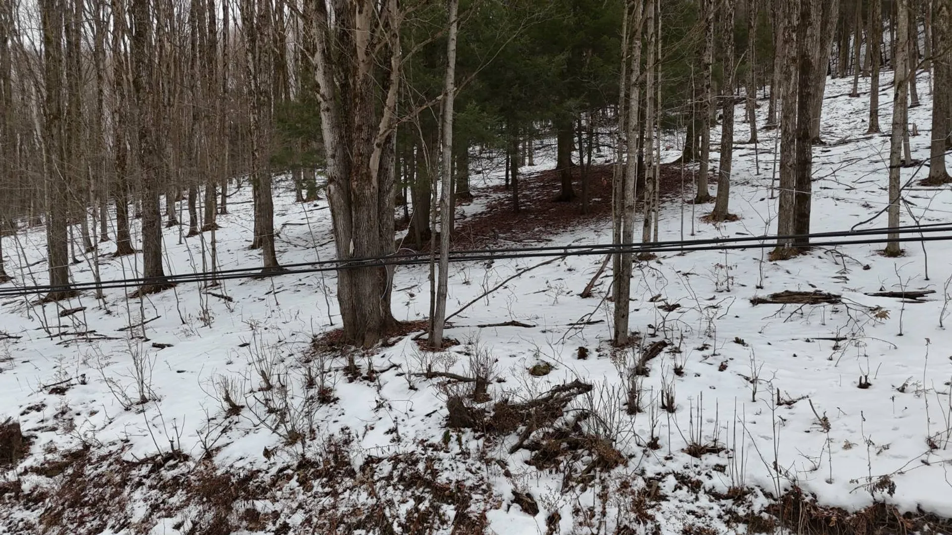 Property at 00 Dietsche Road, Cherry Valley, NY 13320 24