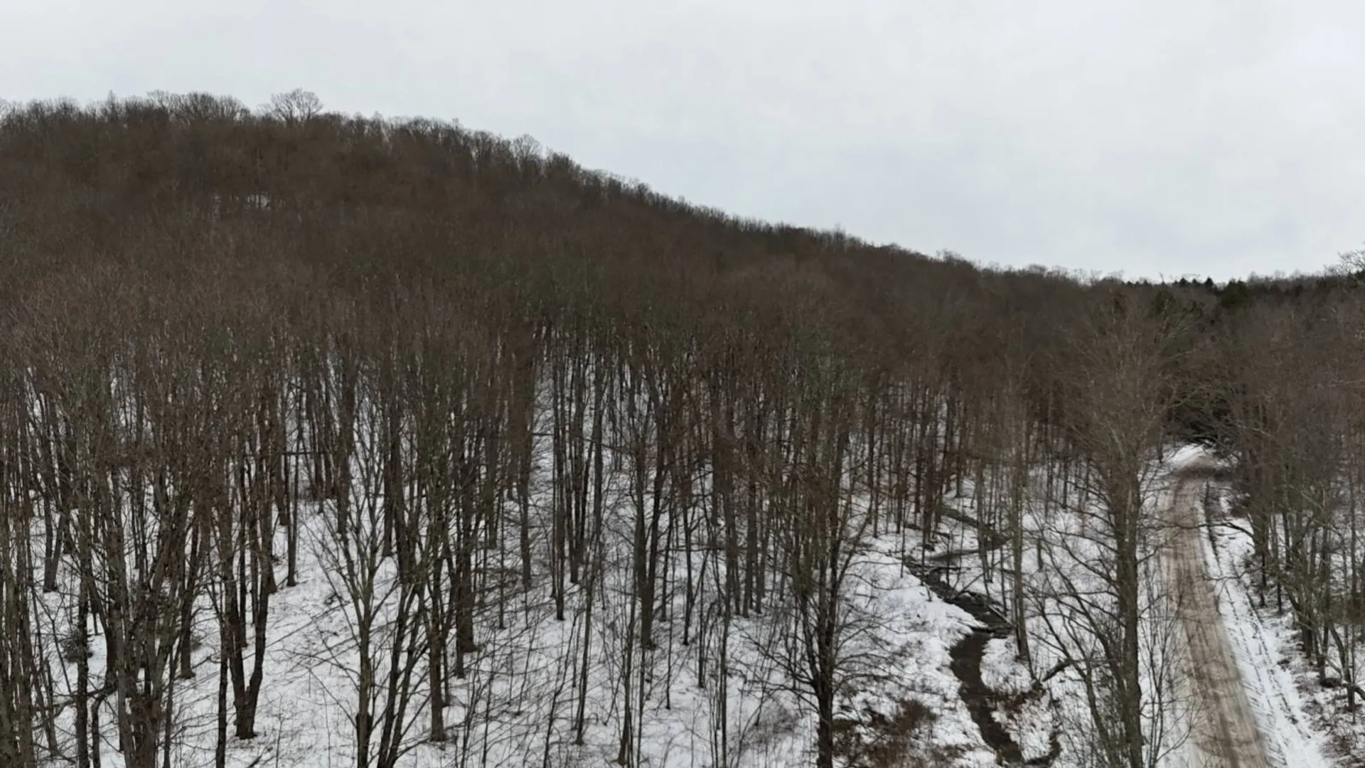 Property at 00 Dietsche Road, Cherry Valley, NY 13320 25