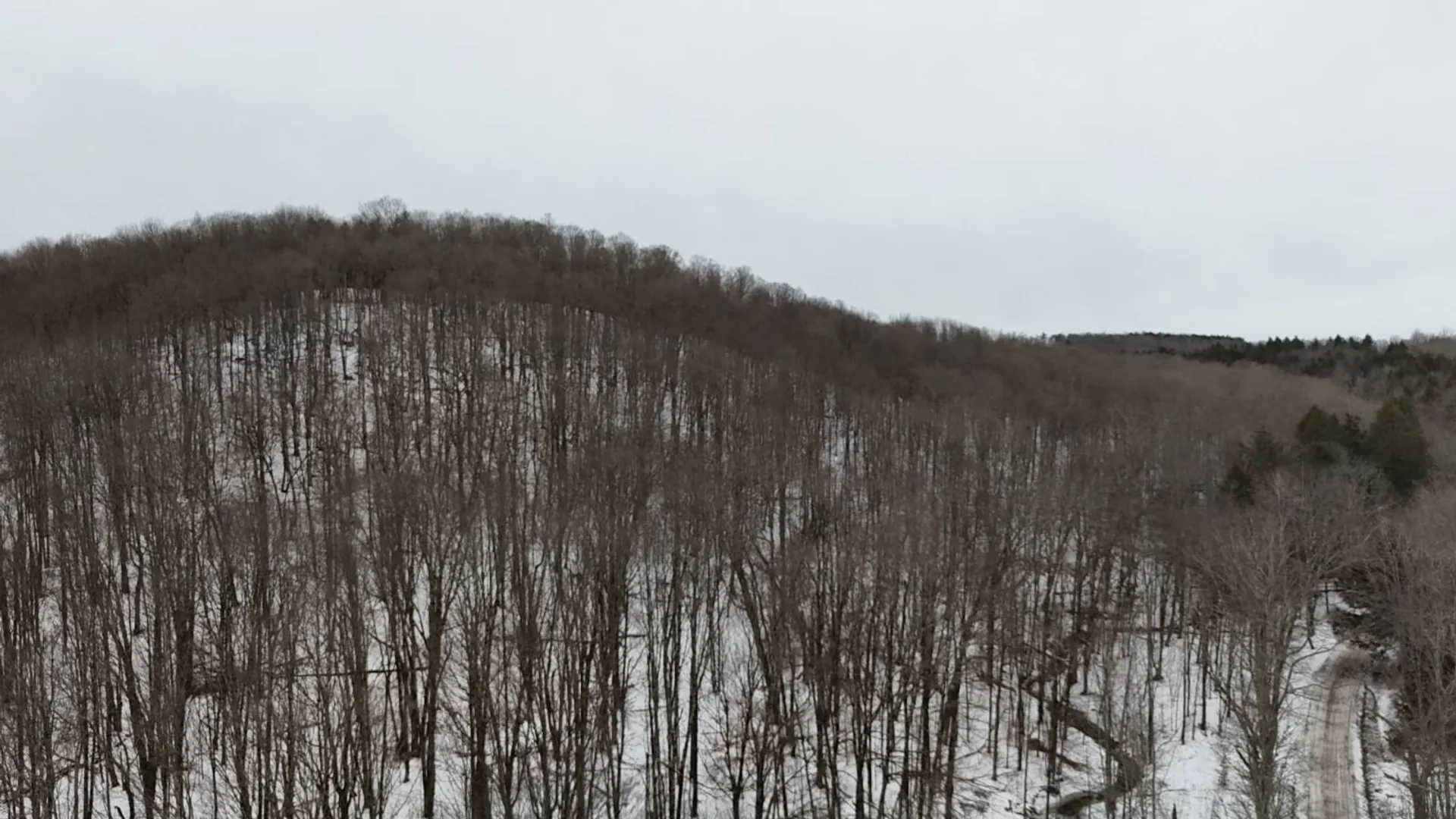 Property at 00 Dietsche Road, Cherry Valley, NY 13320 26