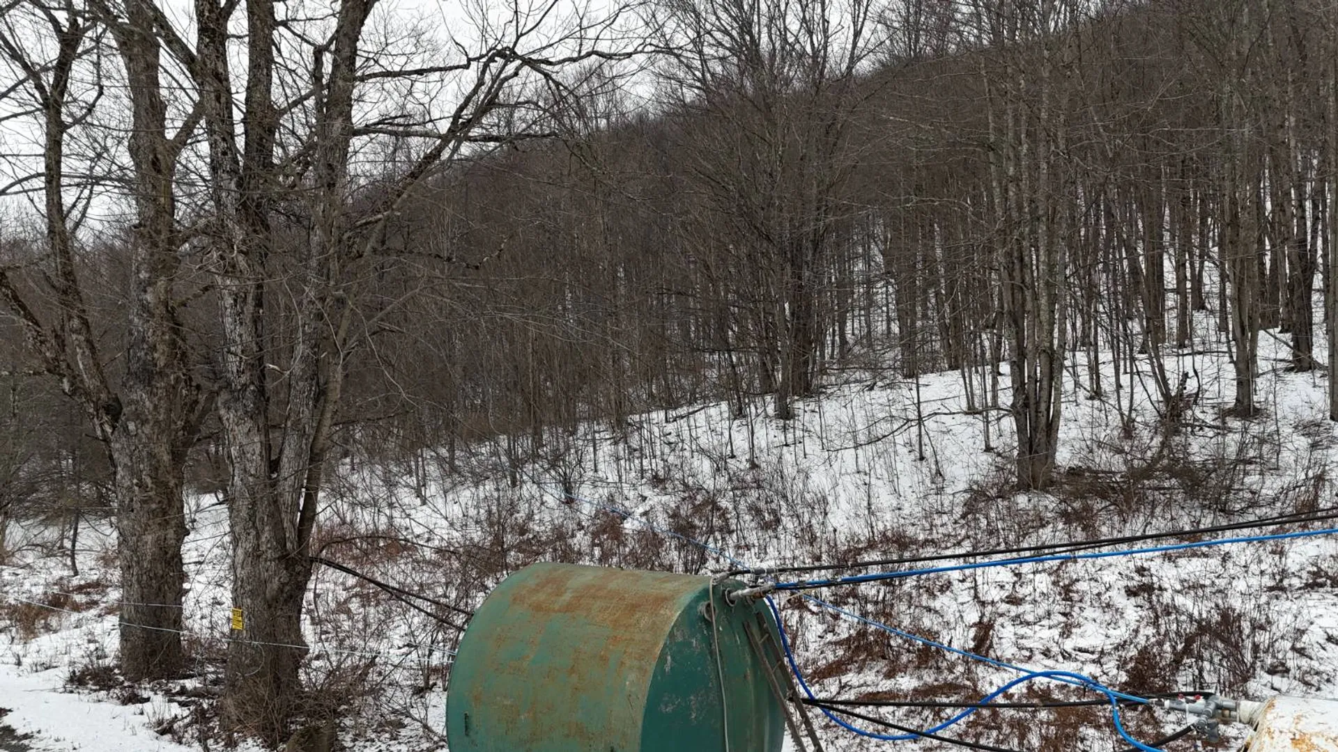 Property at 00 Dietsche Road, Cherry Valley, NY 13320 29