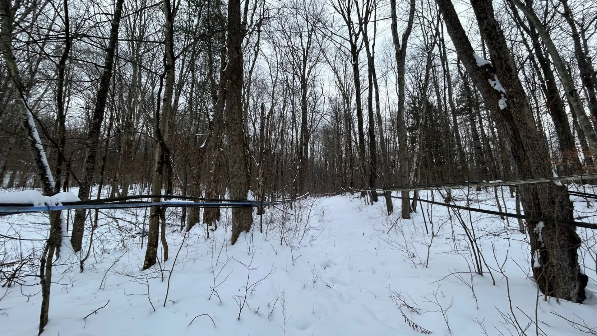 Property at 00 Dietsche Road, Cherry Valley, NY 13320 3