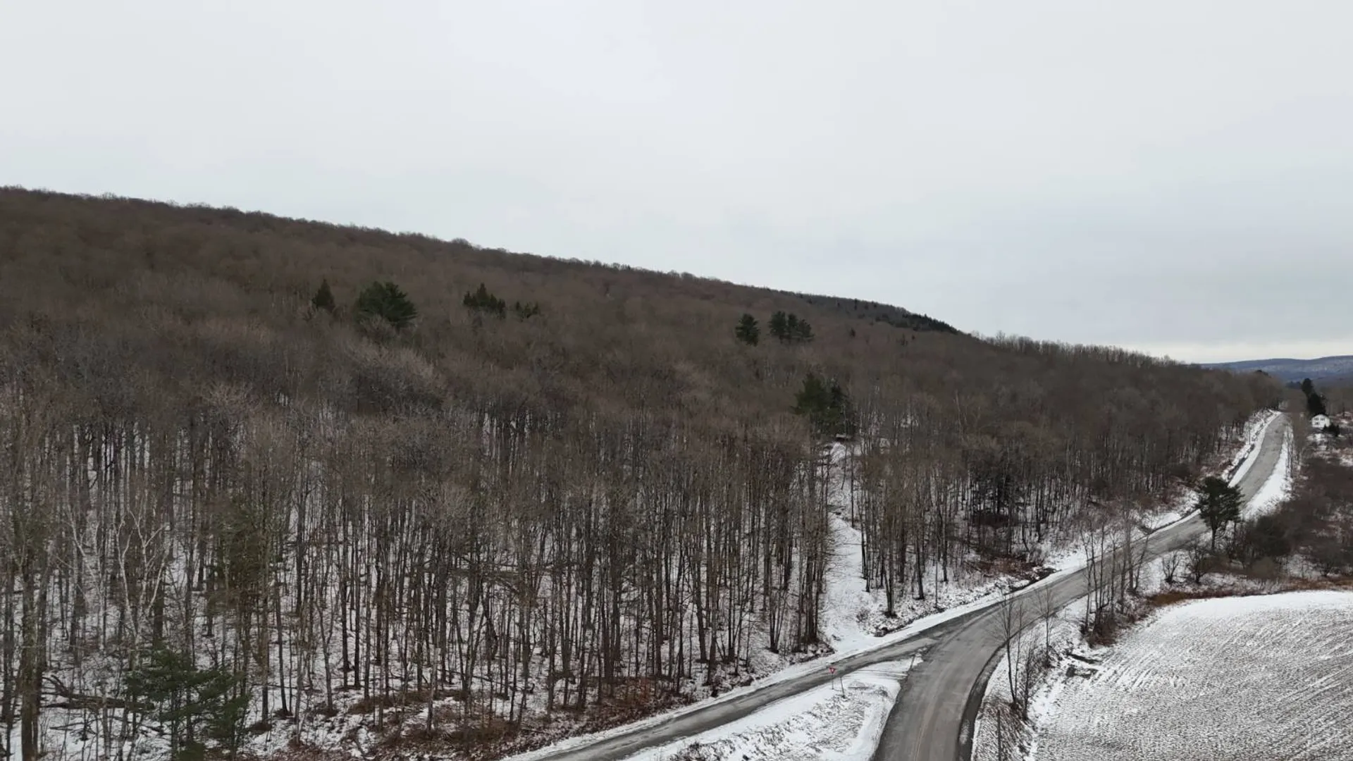 Property at 00 Dietsche Road, Cherry Valley, NY 13320 31