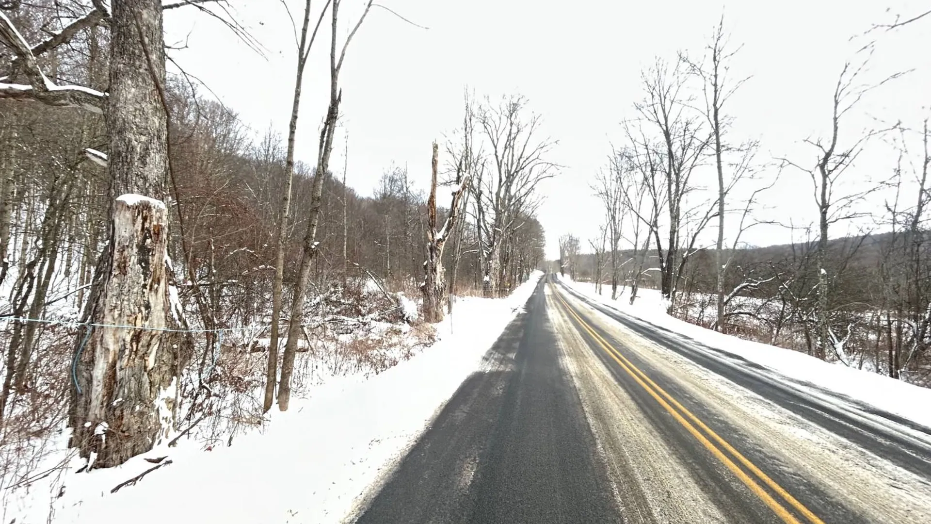 Property at 00 Dietsche Road, Cherry Valley, NY 13320 9