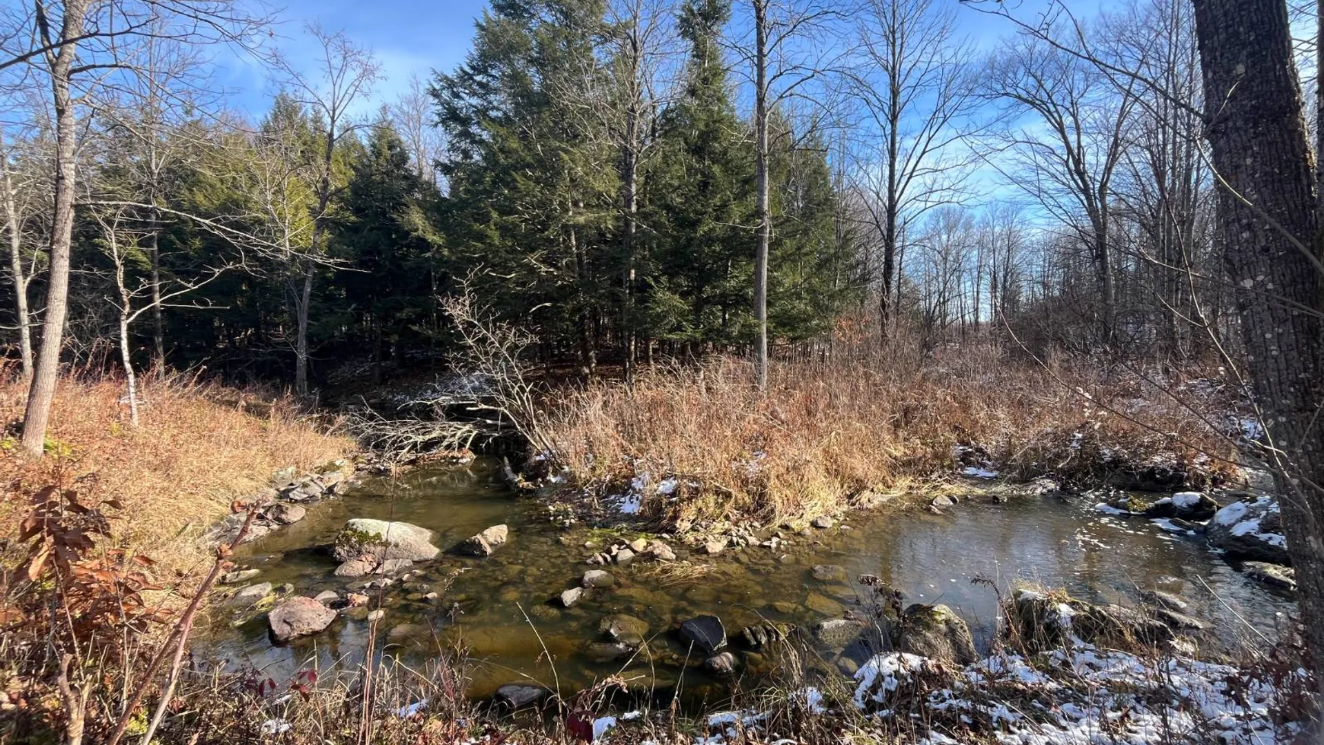 Property at 895 Cr 20, Richville, NY 13681 45