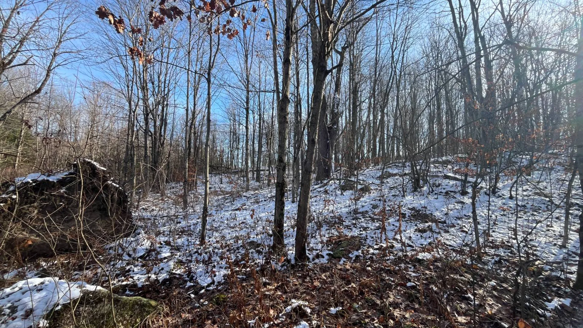 Property at 895 Cr 20, Richville, NY 13681 46