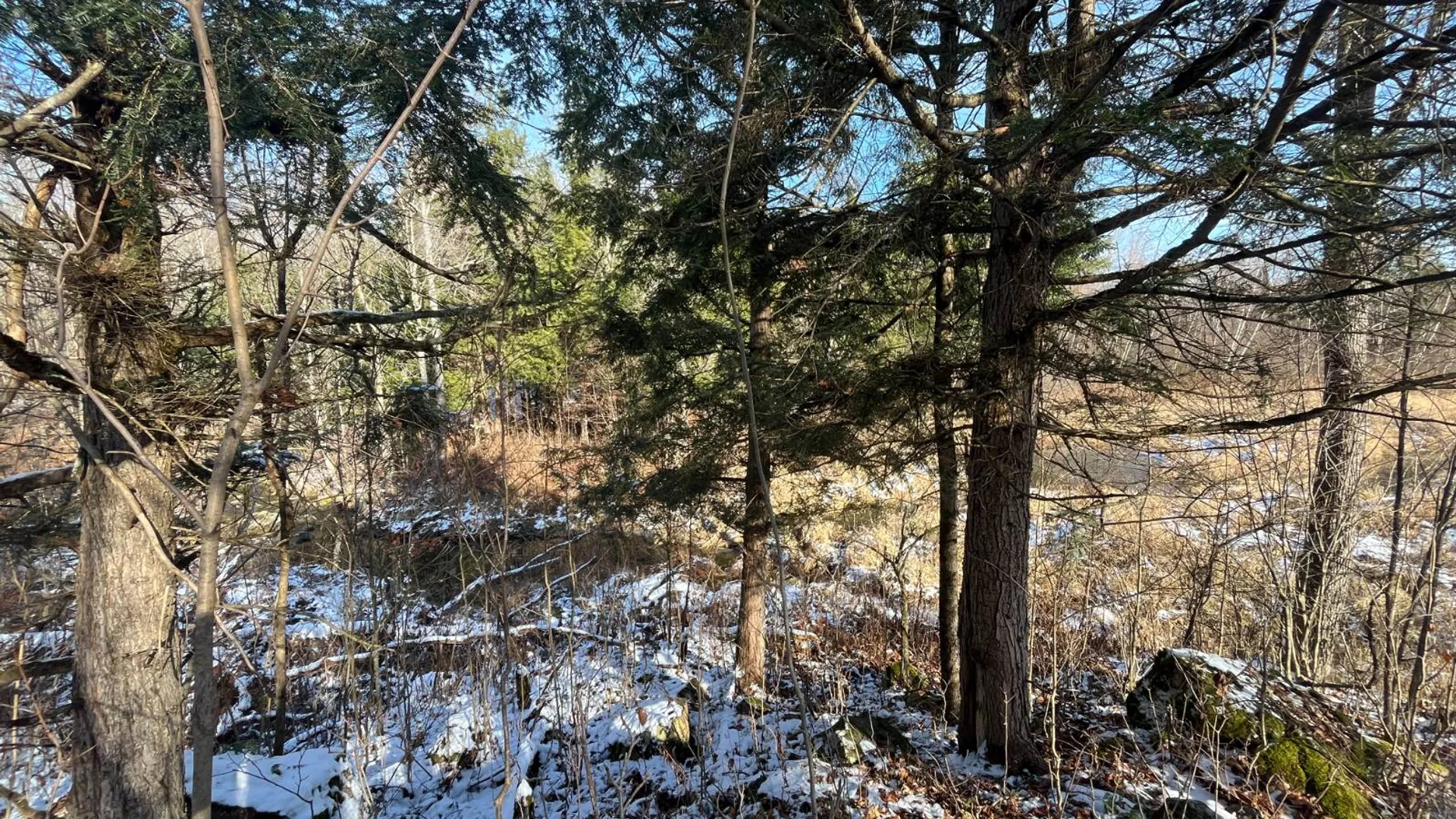 Property at 895 Cr 20, Richville, NY 13681 48
