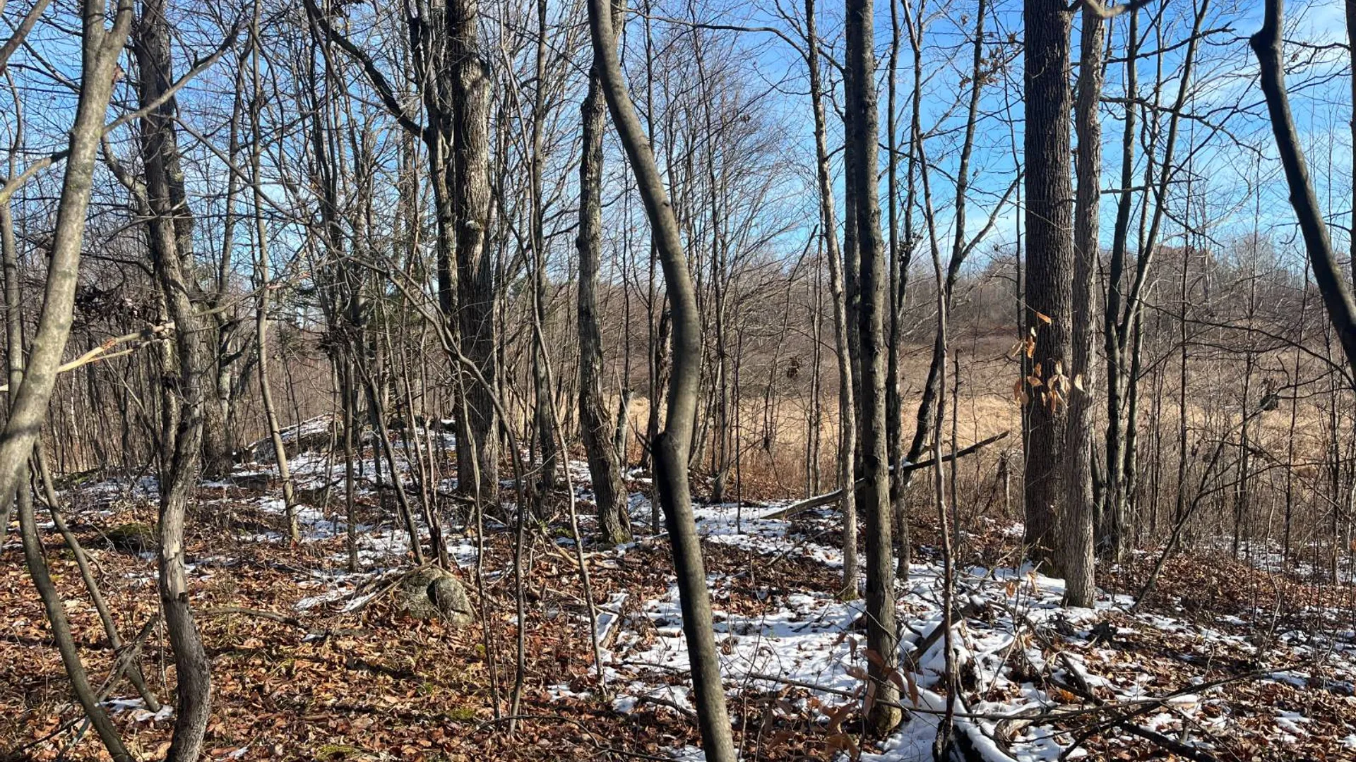 Property at 895 Cr 20, Richville, NY 13681 49