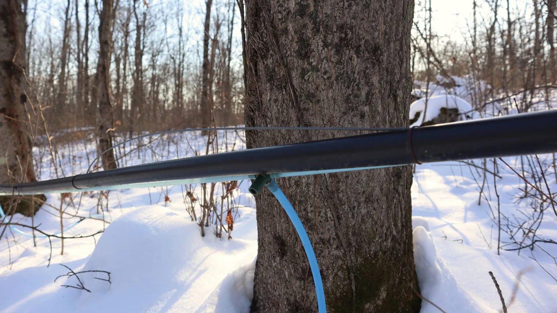 Property at 640 County Route 10, Whitehall, NY 12887 32