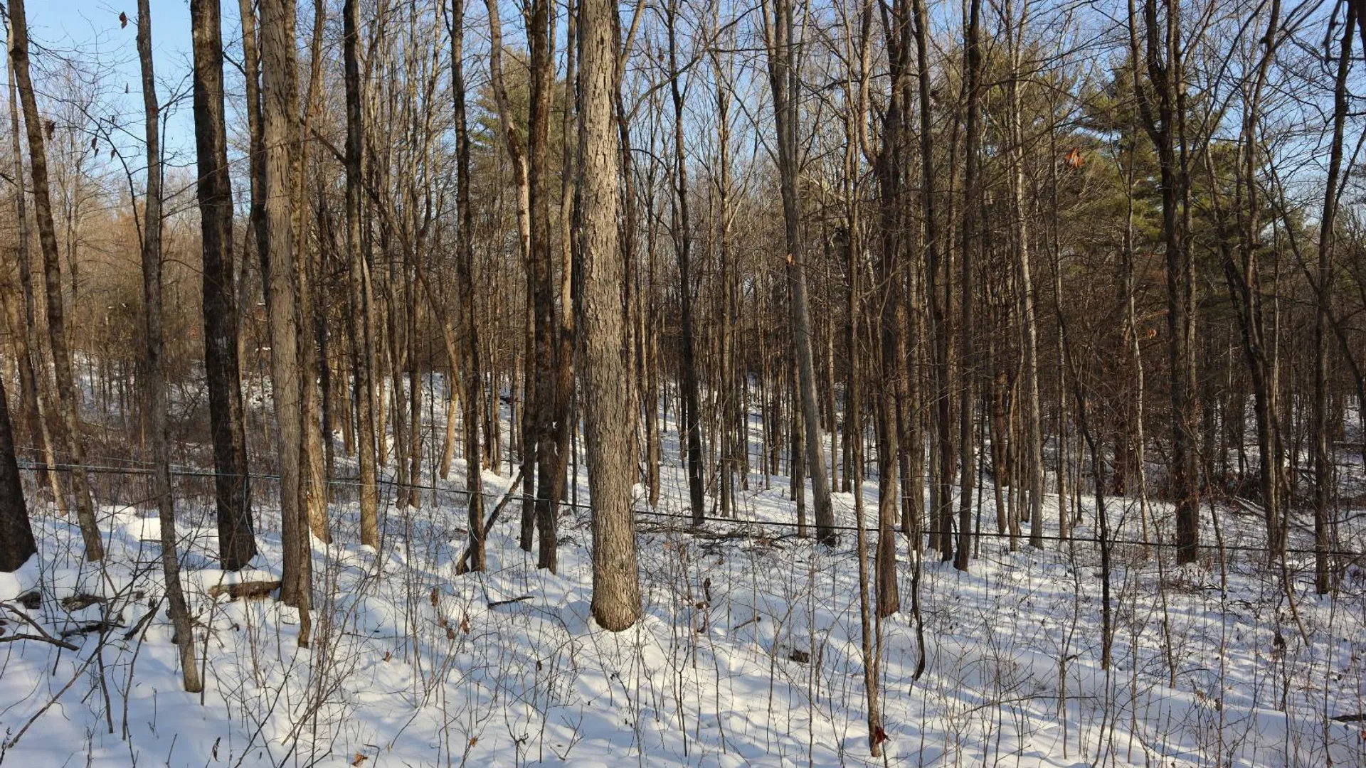 Property at 640 County Route 10, Whitehall, NY 12887 34