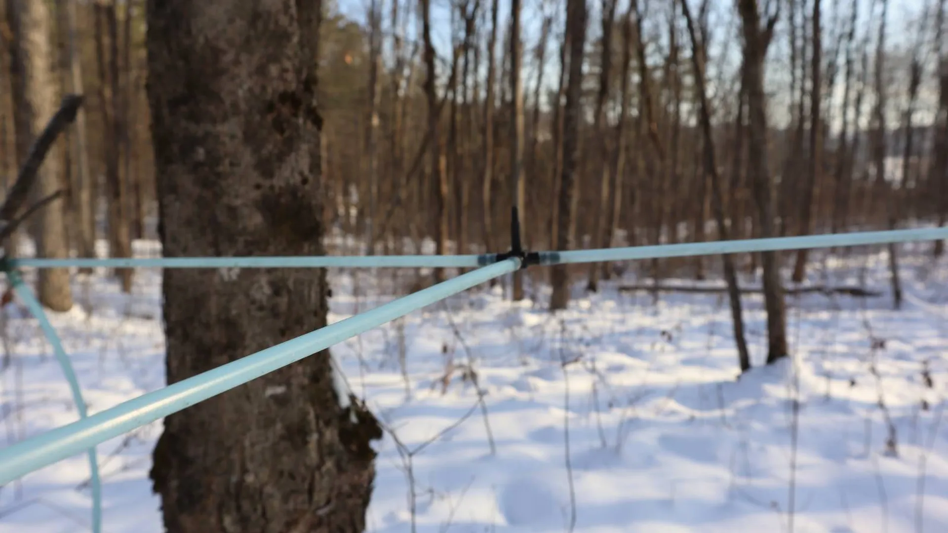 Property at 640 County Route 10, Whitehall, NY 12887 35