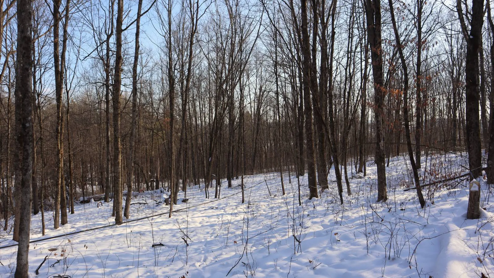 Property at 640 County Route 10, Whitehall, NY 12887 36