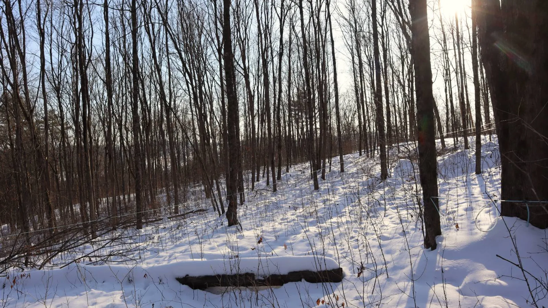 Property at 640 County Route 10, Whitehall, NY 12887 37