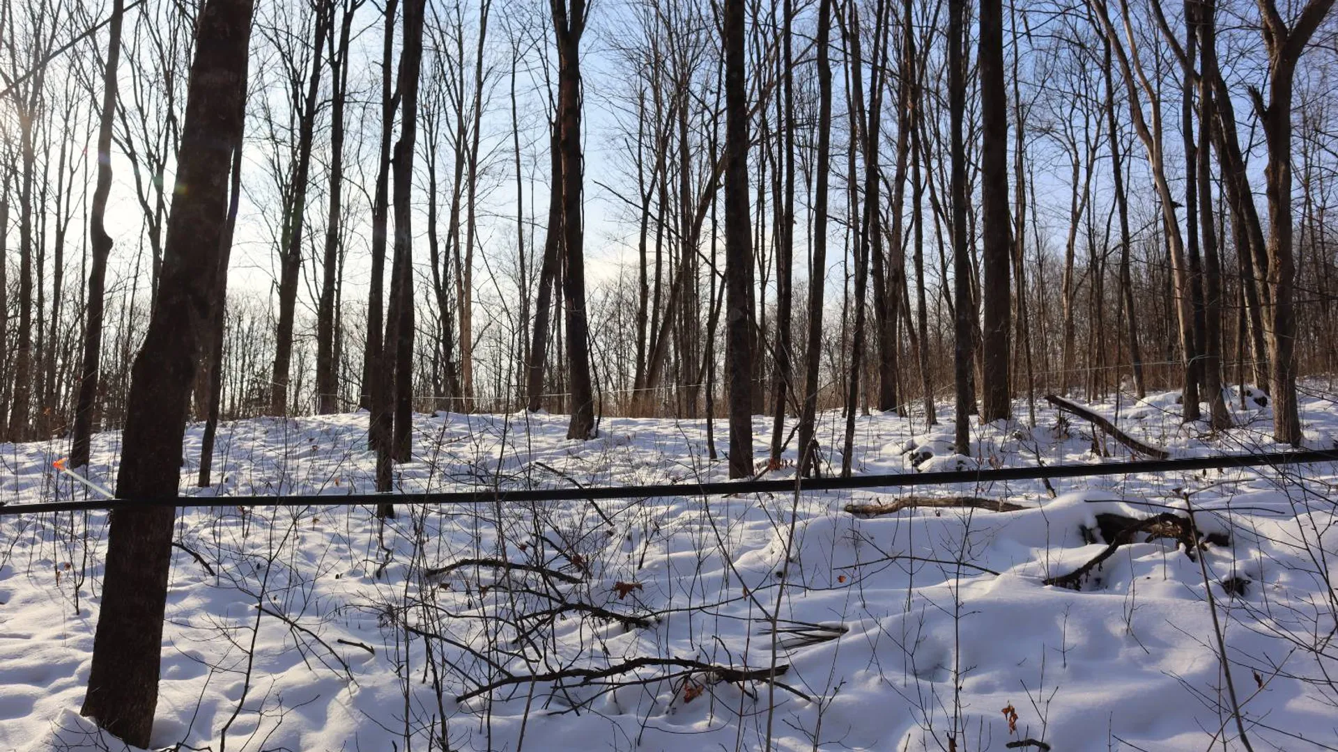 Property at 640 County Route 10, Whitehall, NY 12887 38